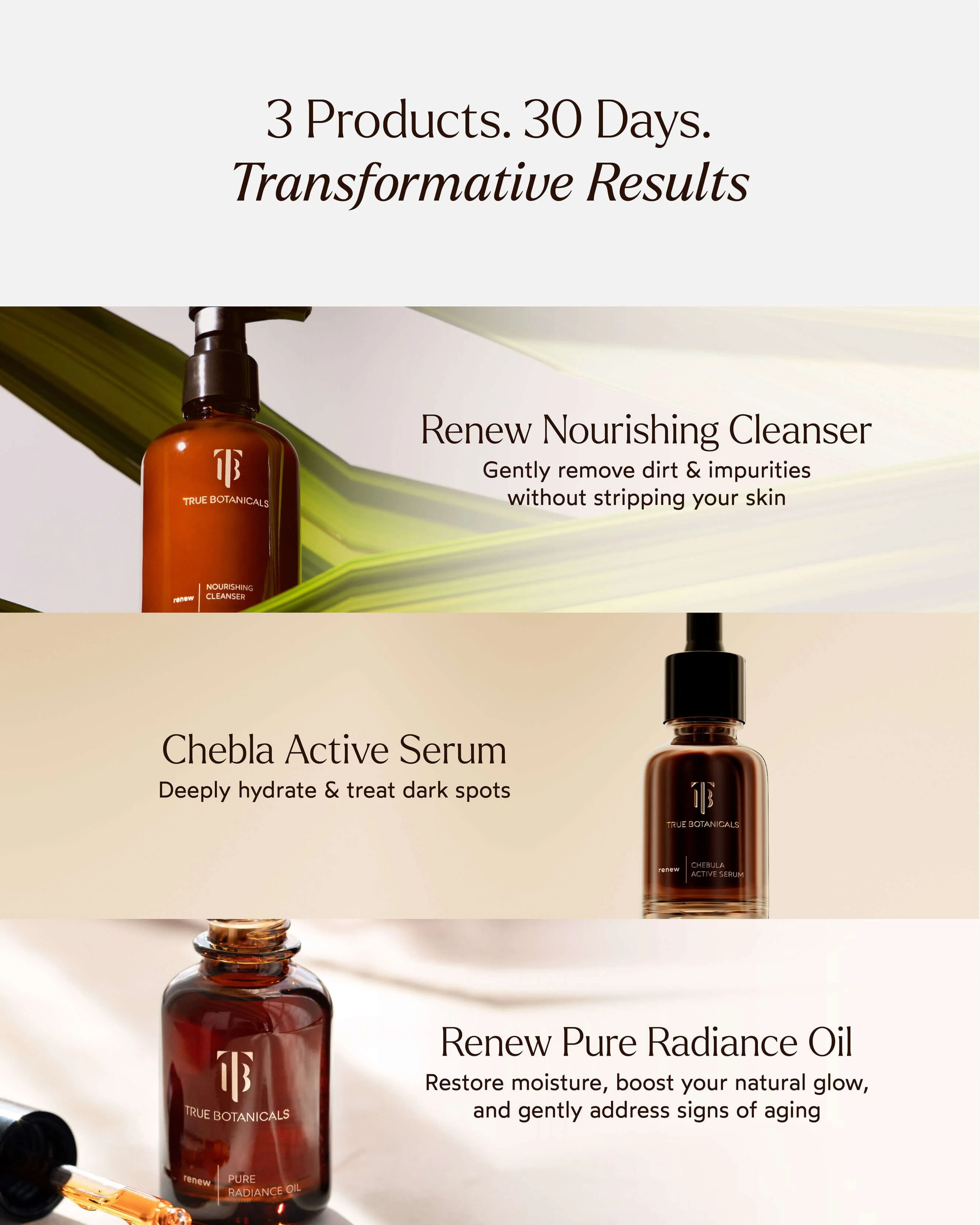 A True Transformation - Image 5