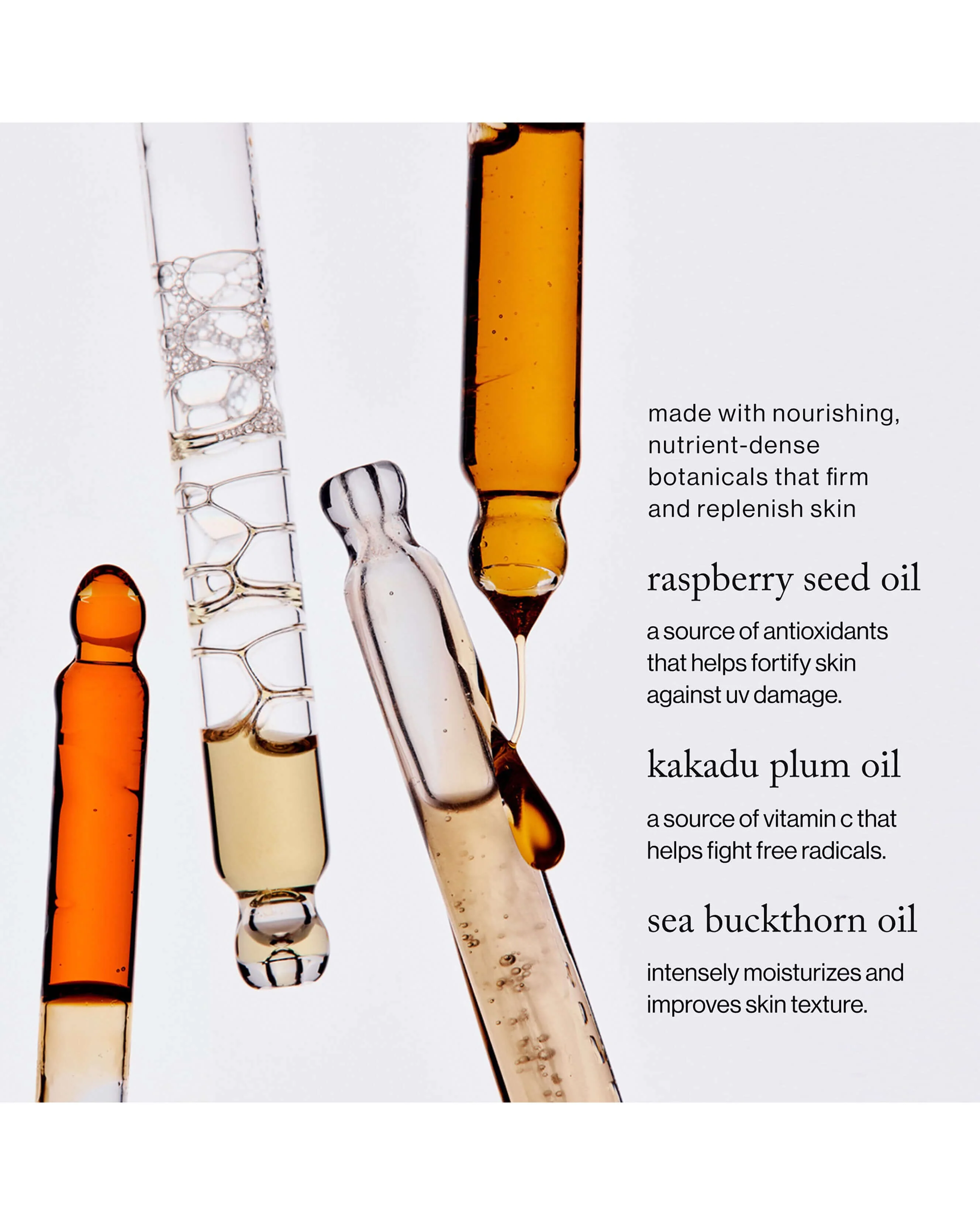 Afterglow Body Oil - Image 6