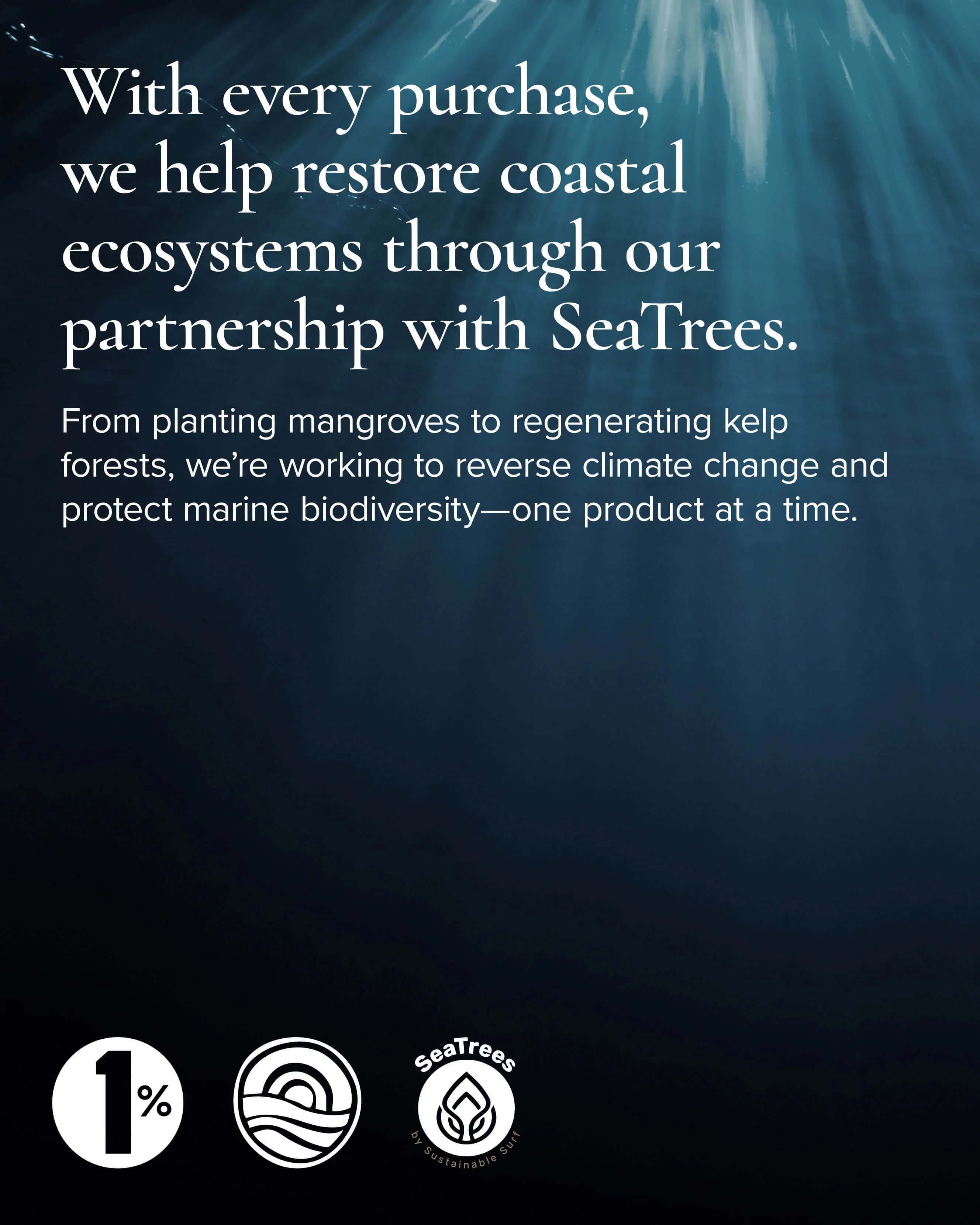 Sea Sculpt Body Oil for Firmness & Cellulite with Algae + Moringa - Image 14