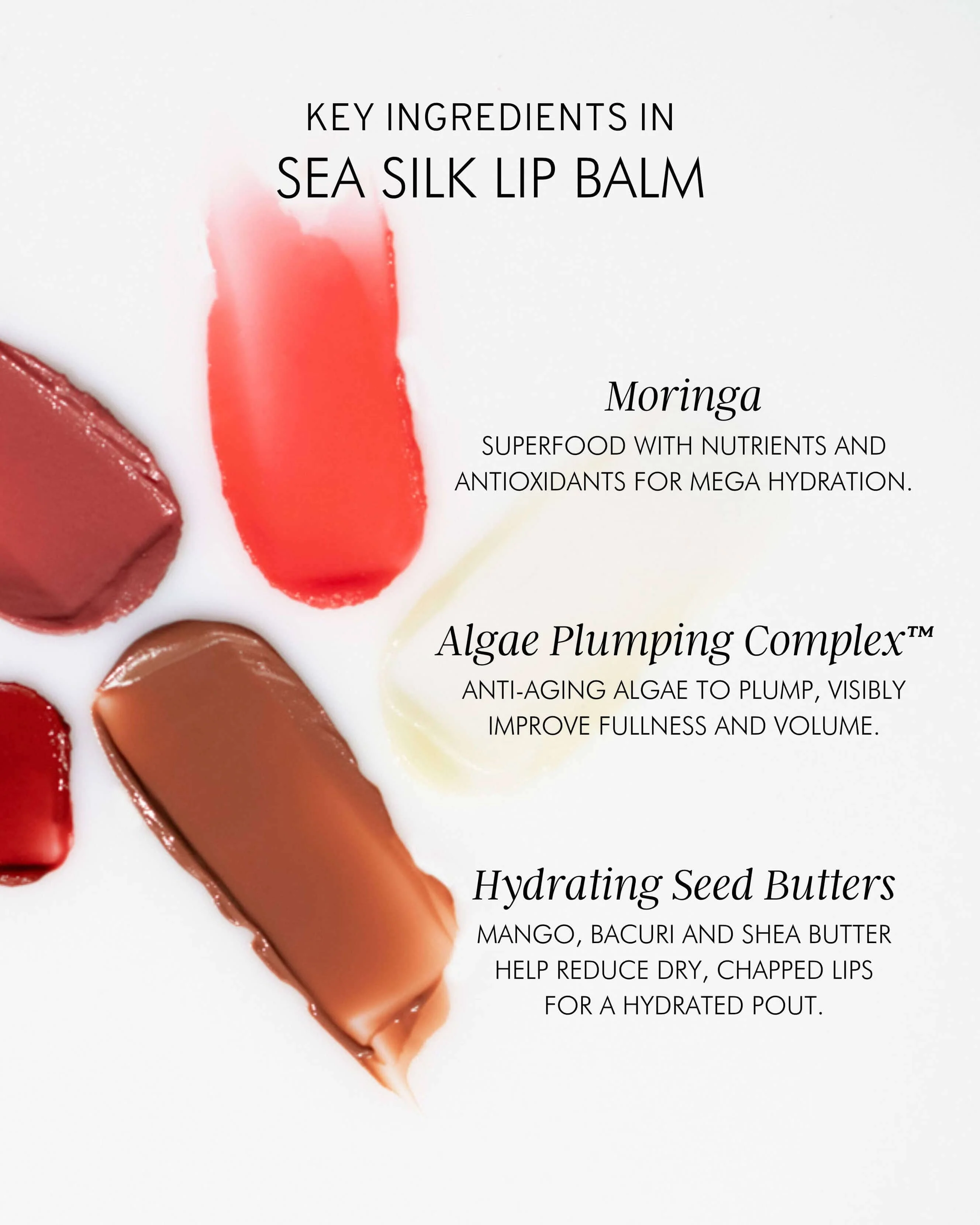 Hydrating Sea Silk Lip Balm Treatment for Anti-Aging and Lip Wrinkles - Image 24