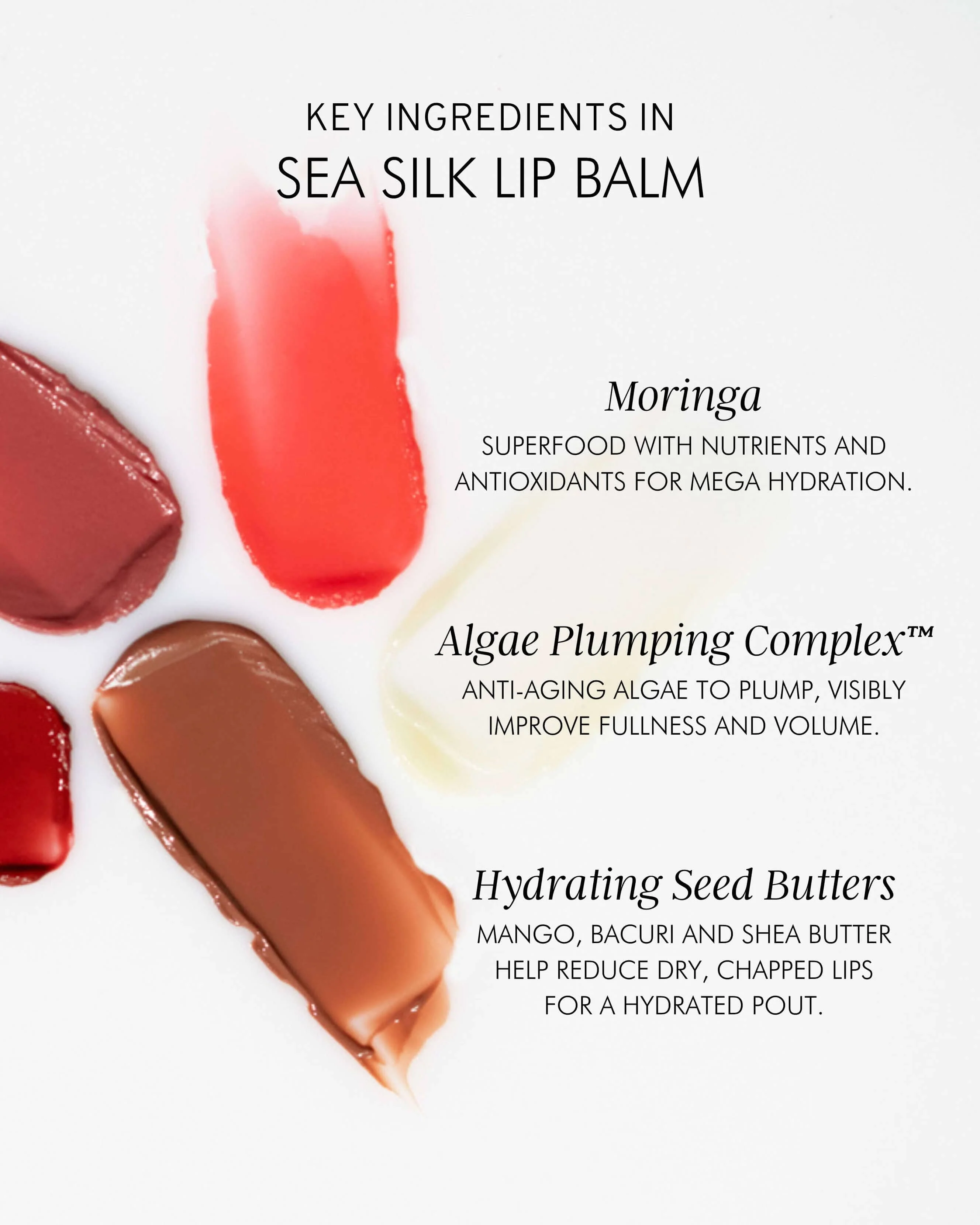 Hydrating Sea Silk Lip Balm Treatment for Anti-Aging and Lip Wrinkles - Image 31