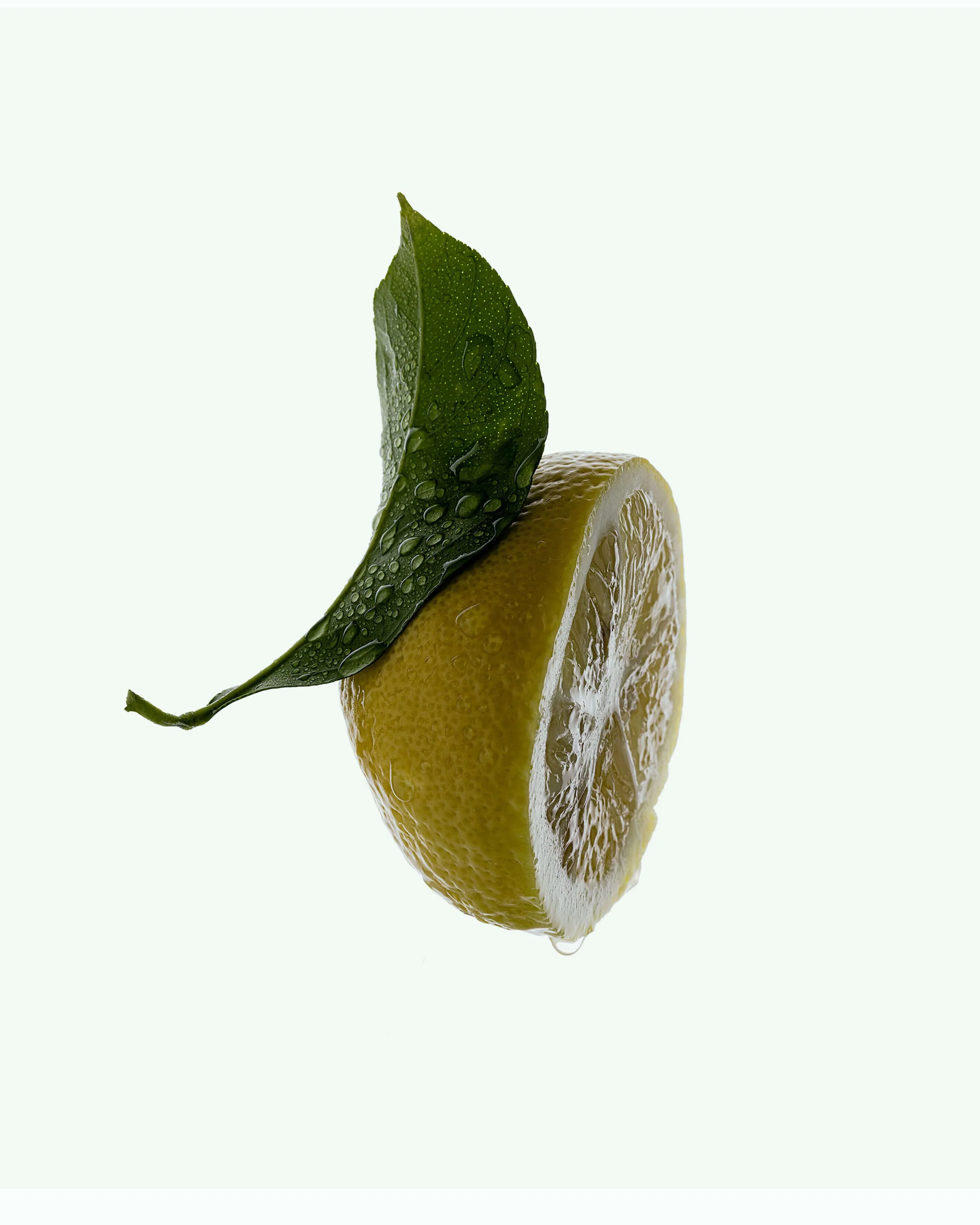 Hand Wash: Amalgam 5 - Image 3