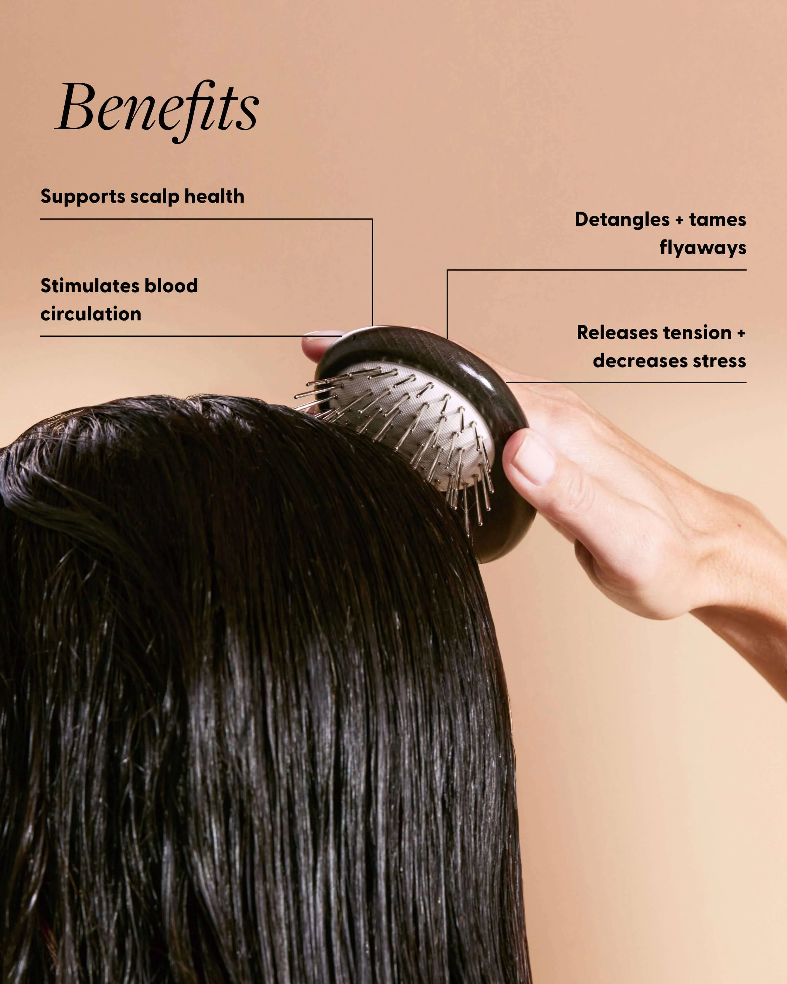 Arey Scalp Renewal Duo - Image 3