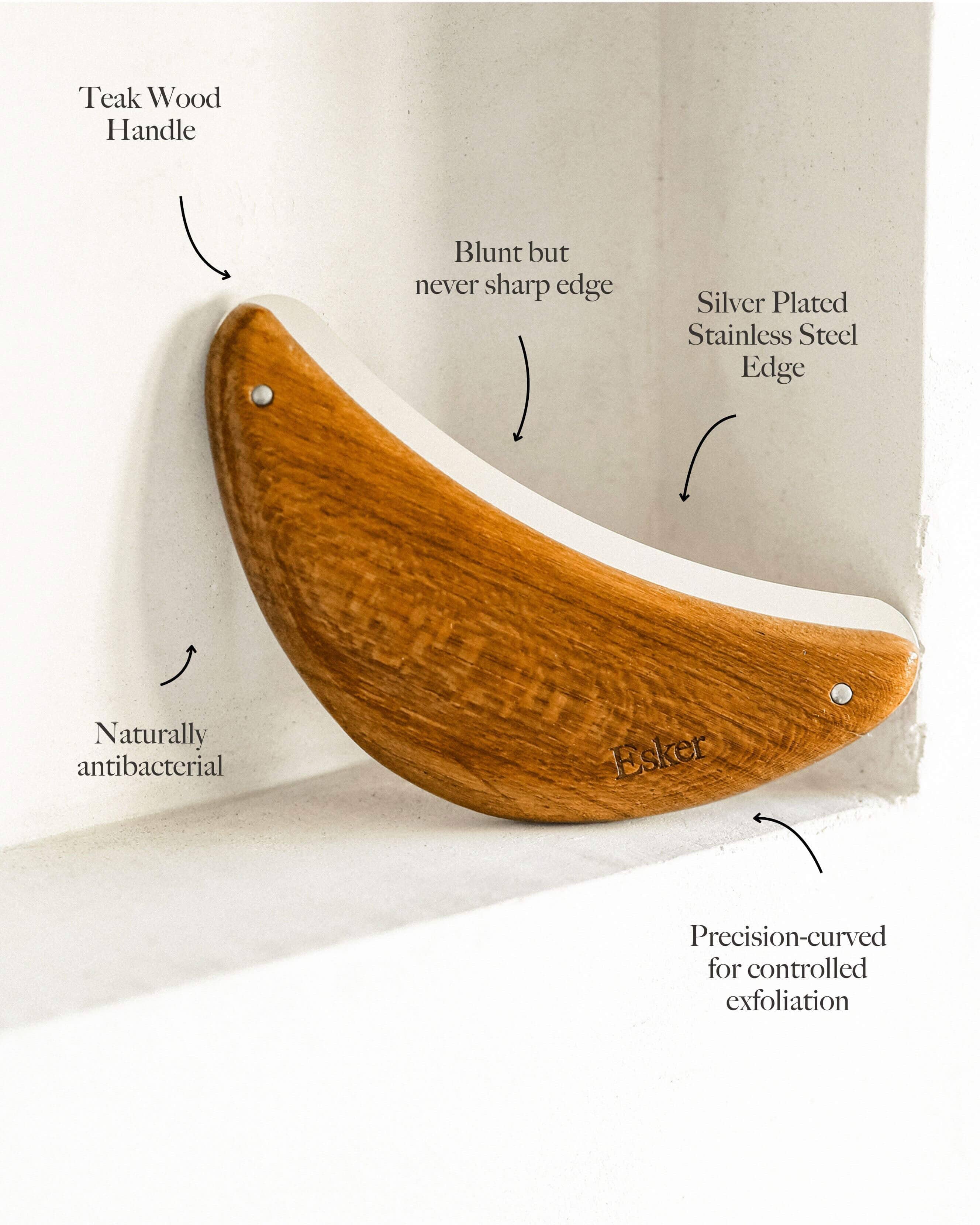 Body Plane - Image 8
