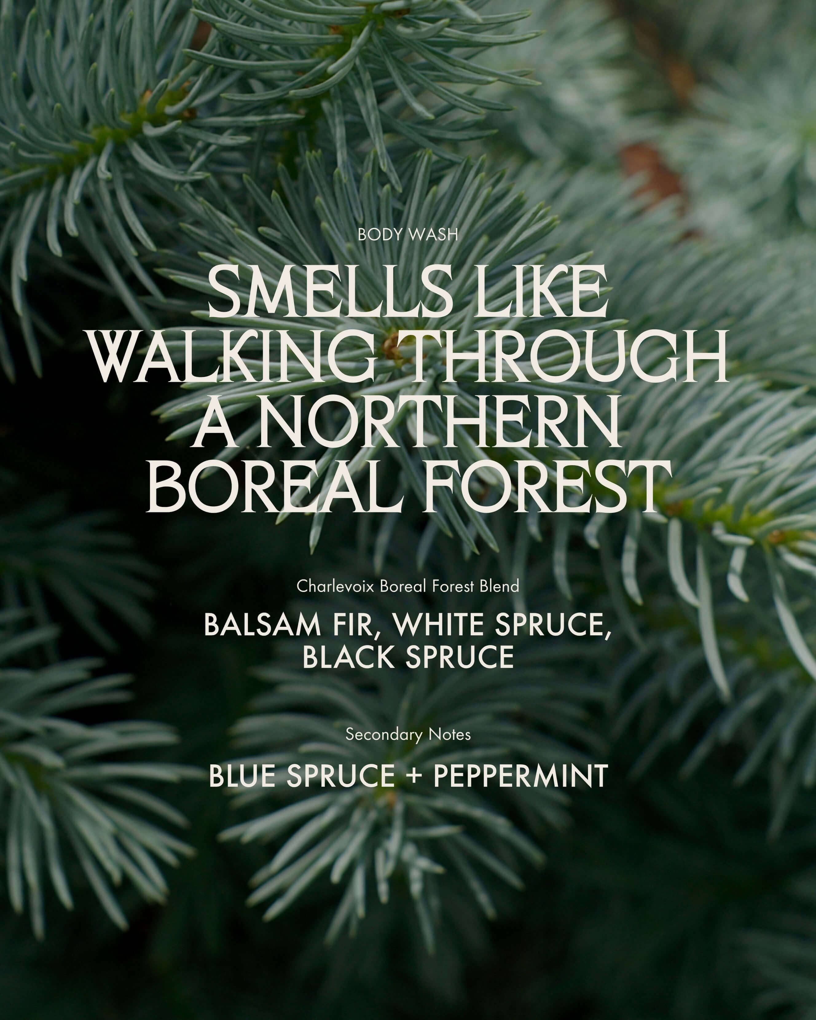 Body Wash Charlevoix Boreal Forest Blend - Image 18