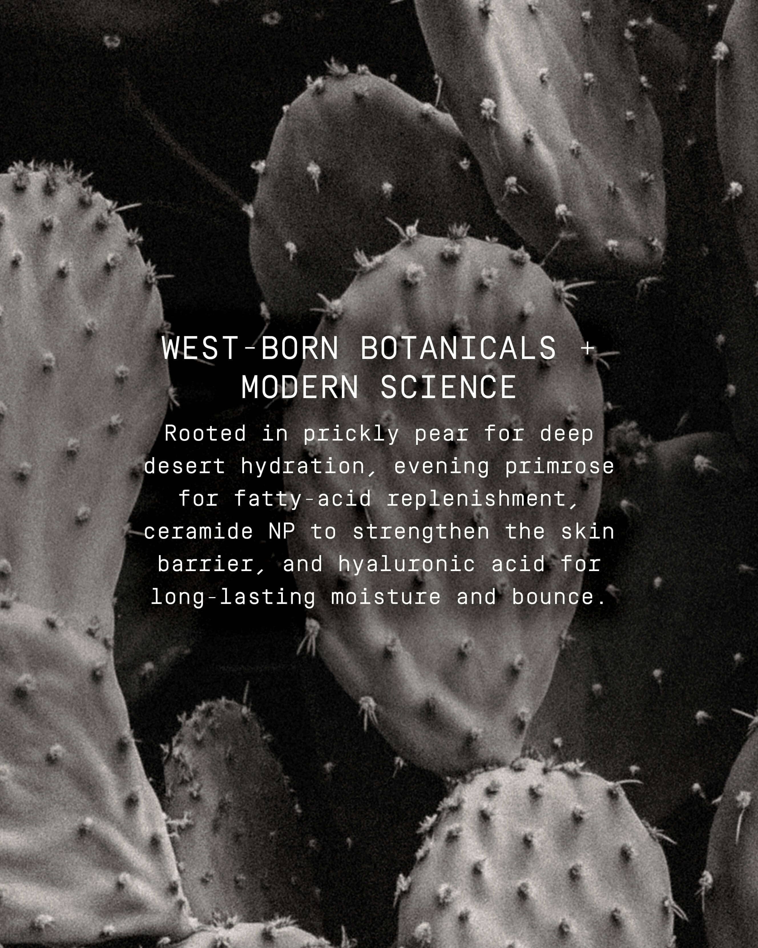 Cactus Silk Prickly Pear Oil + Serum Skin Revival - Image 4