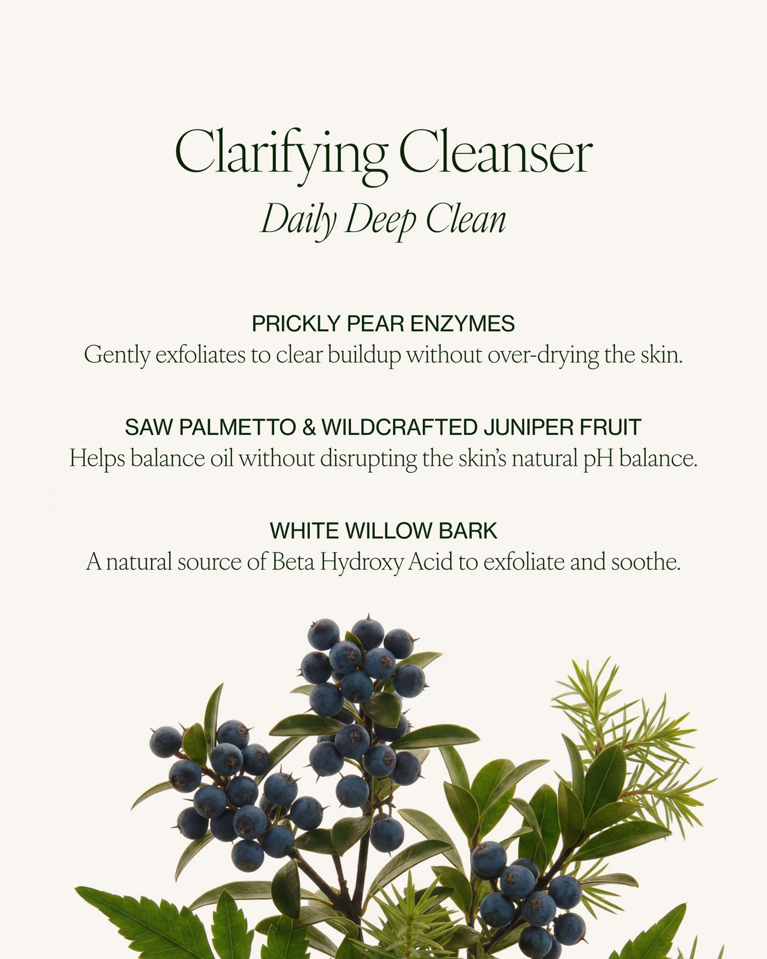 Clarifying Cleanser - Image 7