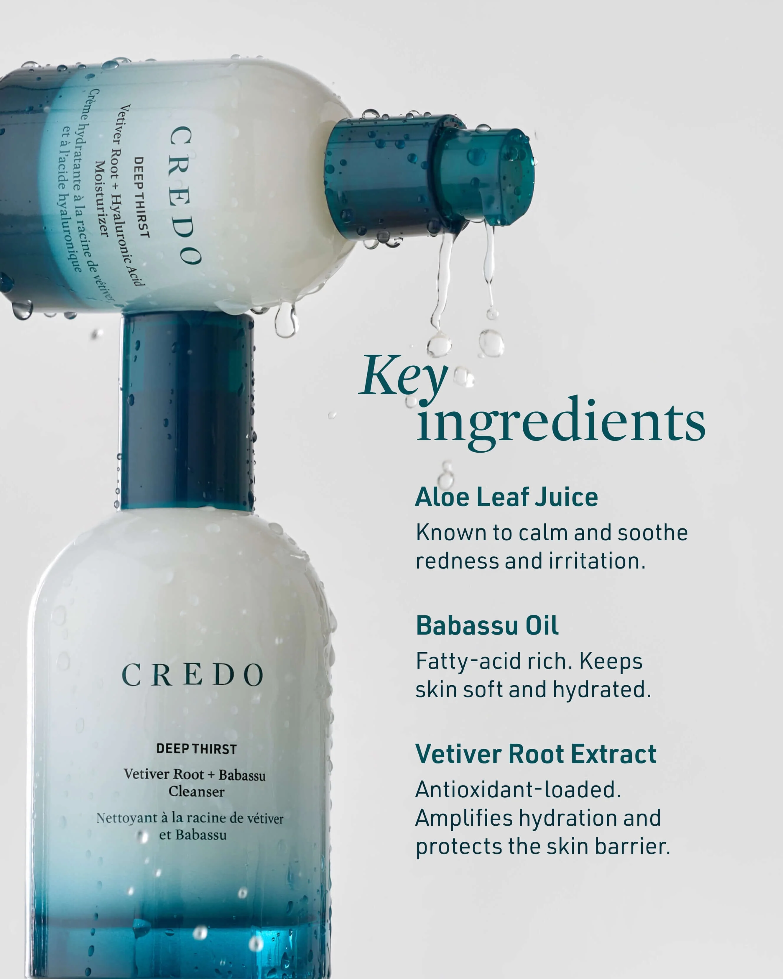 Deep Thirst Vetiver Root + Babassu Cleanser for Dry Skin - Image 7