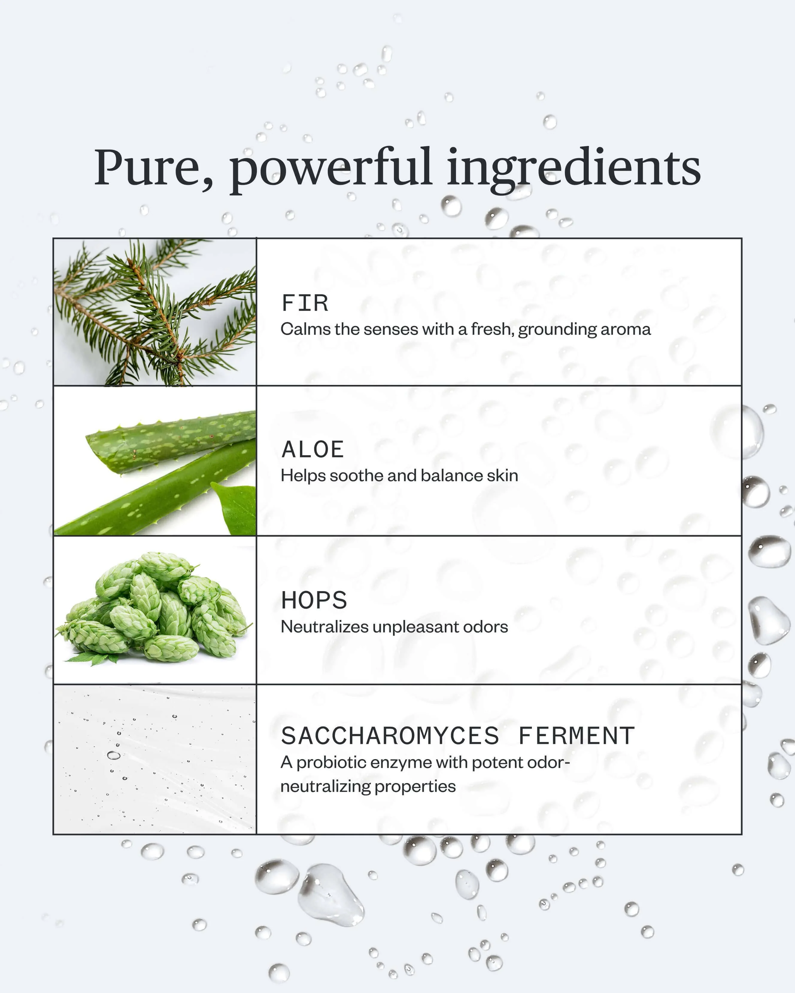 Forest Fix Spray Deodorant with Sage & Sandalwood - Image 5