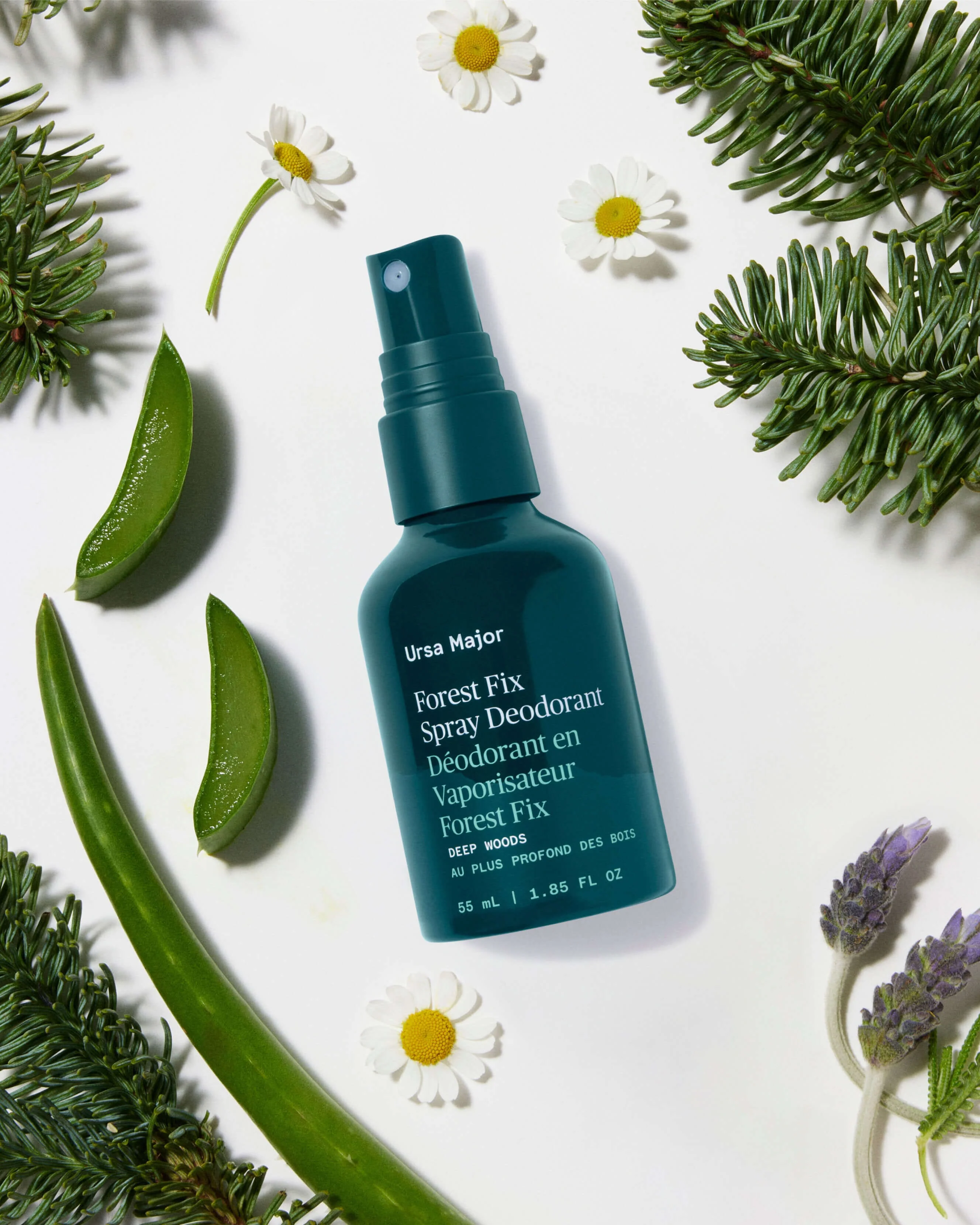 Forest Fix Spray Deodorant with Sage & Sandalwood - Image 6