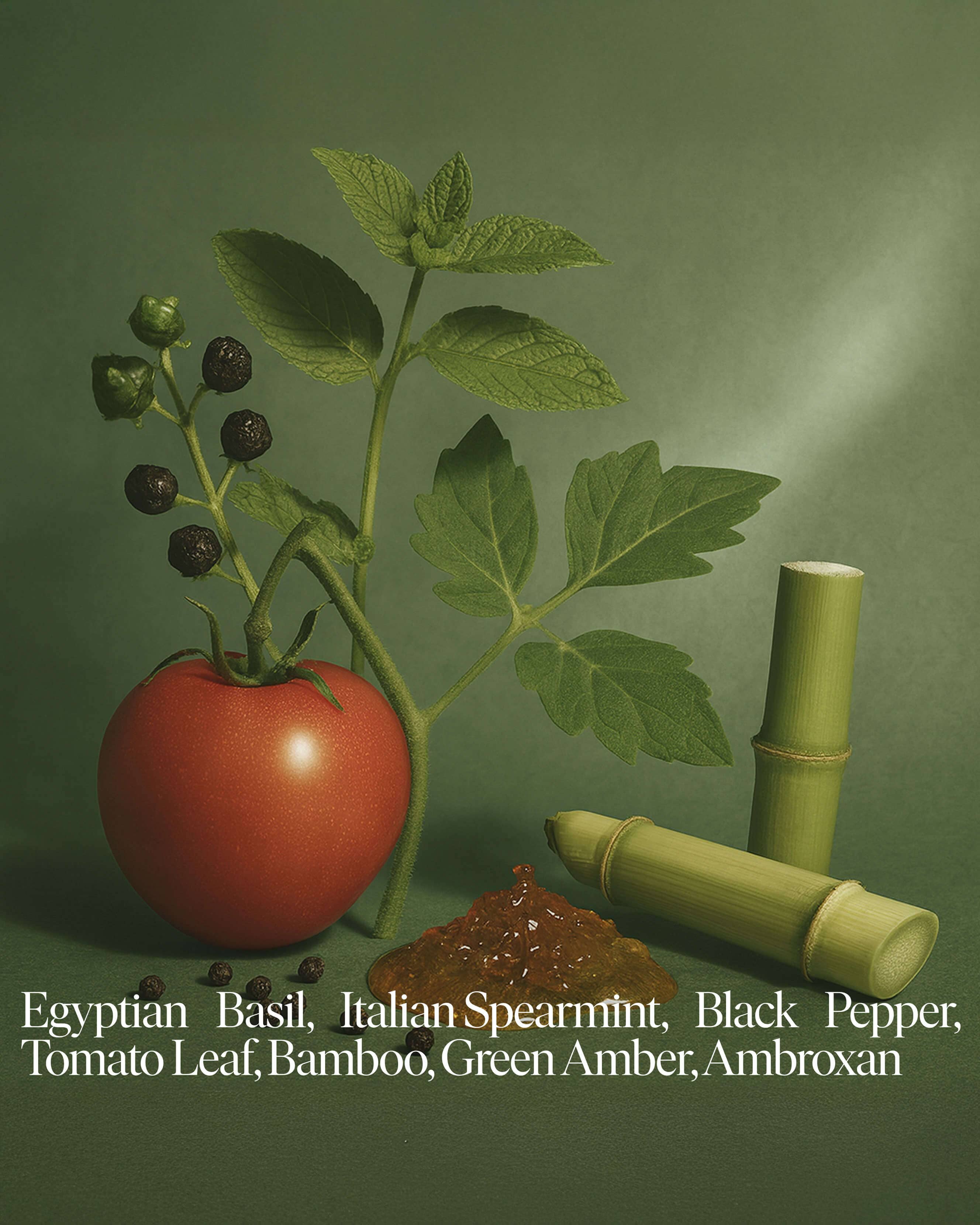 Forever Candle Farm Tomatoes - Image 2