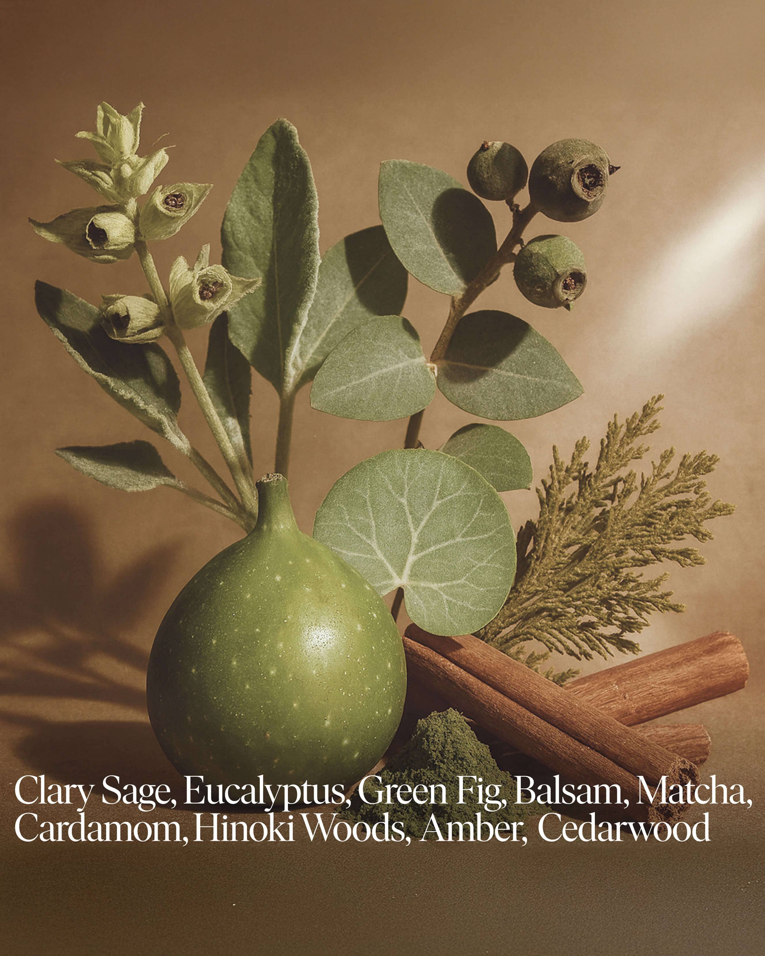 Forever Candle No 04 — Eucalyptus, Balsam, Wild Berries - Image 2