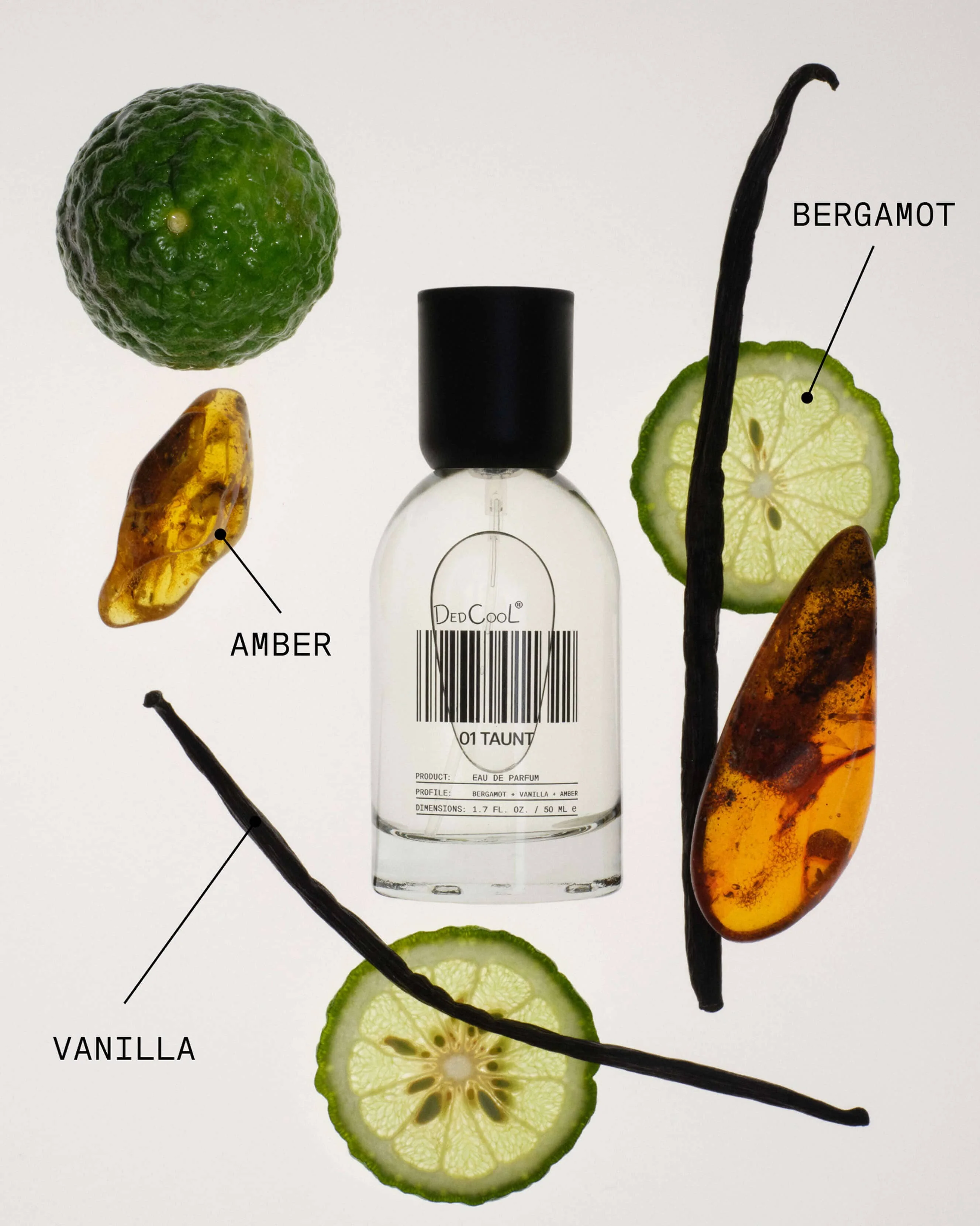 Fragrance 01 Taunt: Bergamot/Amber/Vanilla - Image 3
