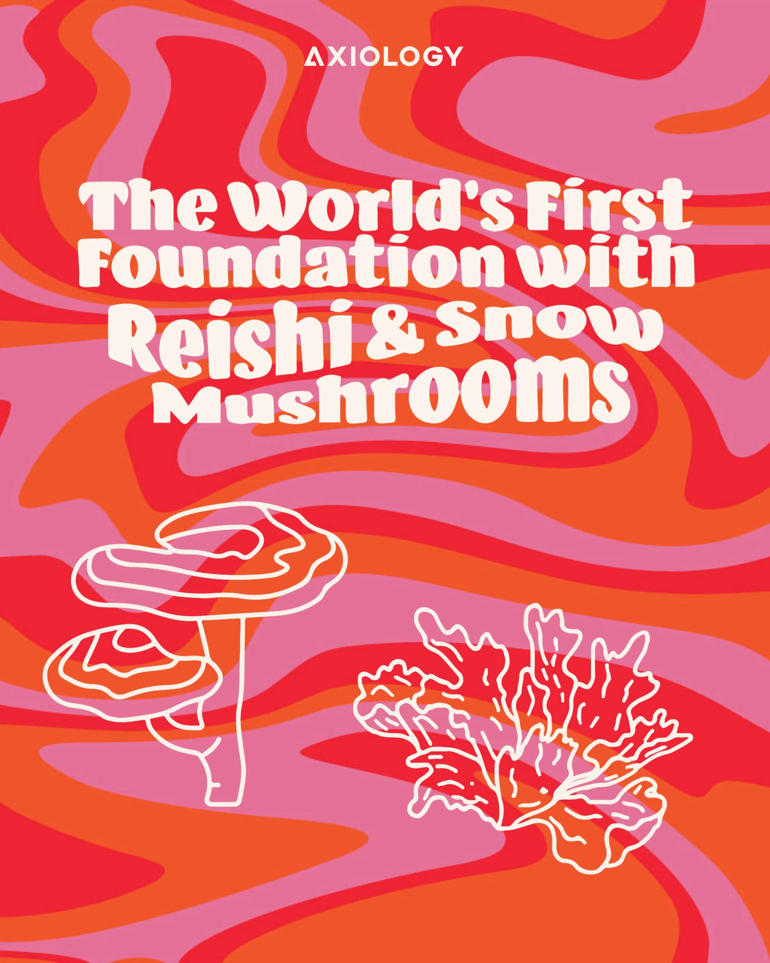 Fungdation Mushroom Foundation - Image 102