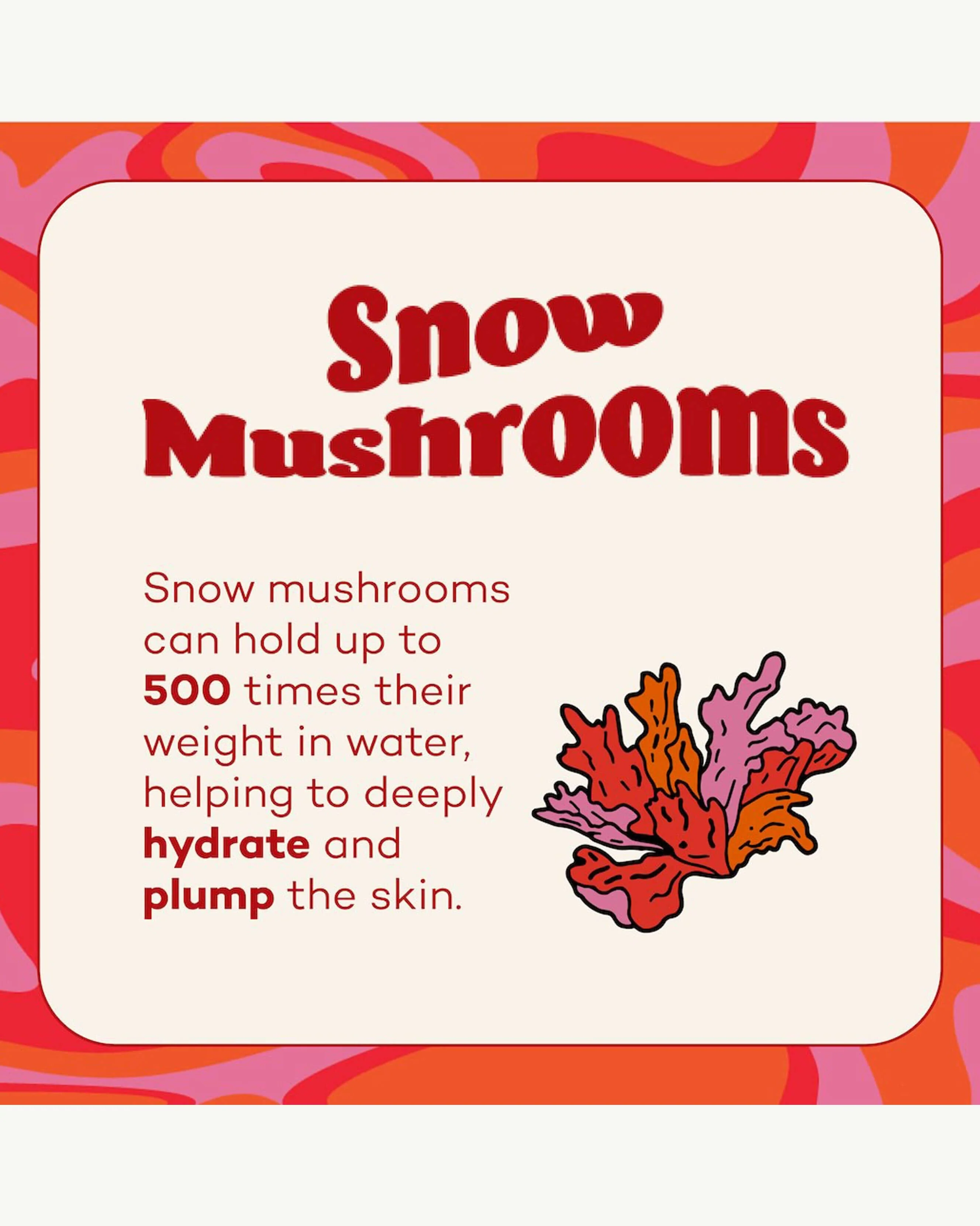 Fungdation Mushroom Foundation - Image 218