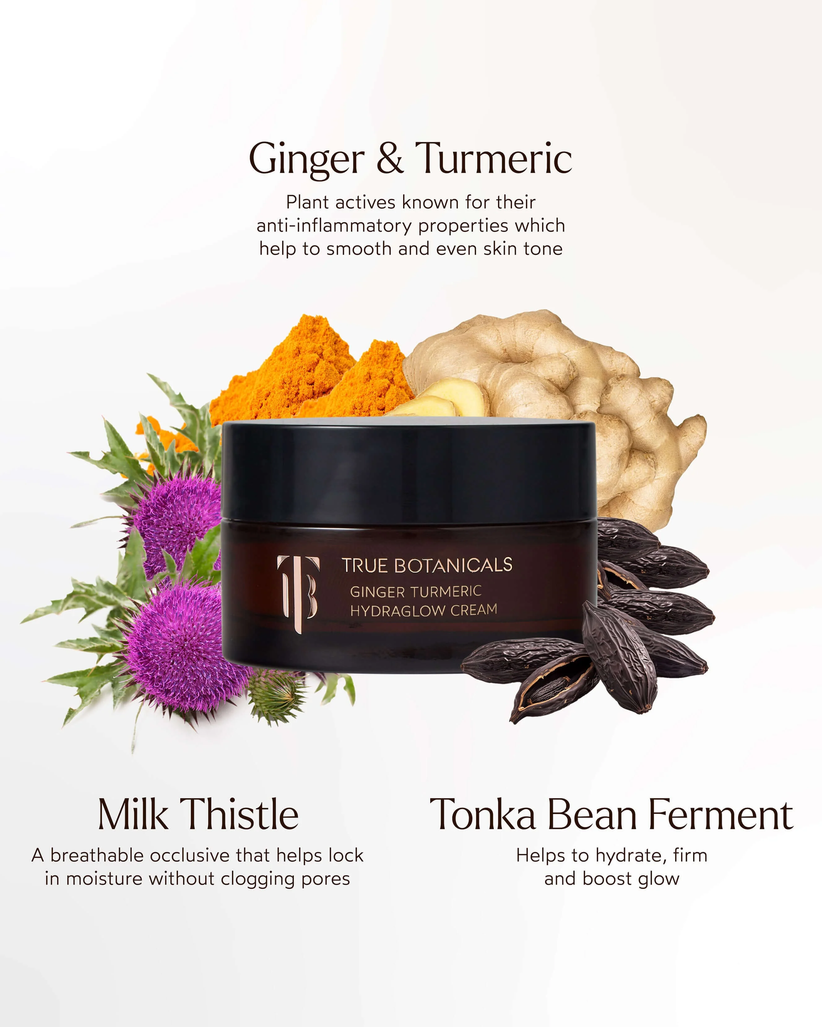 Ginger Turmeric HydraGlow Cream - Image 6