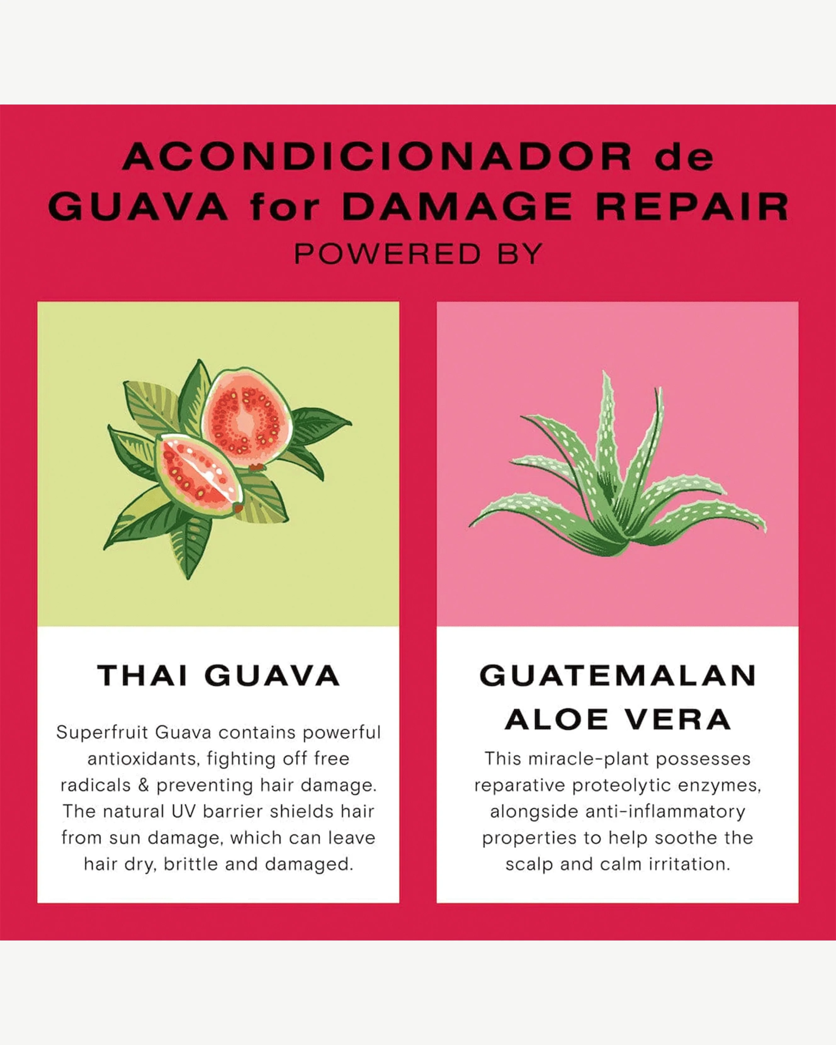 Guava Conditioner for Color Treated Hair and Damage Repair - Image 7