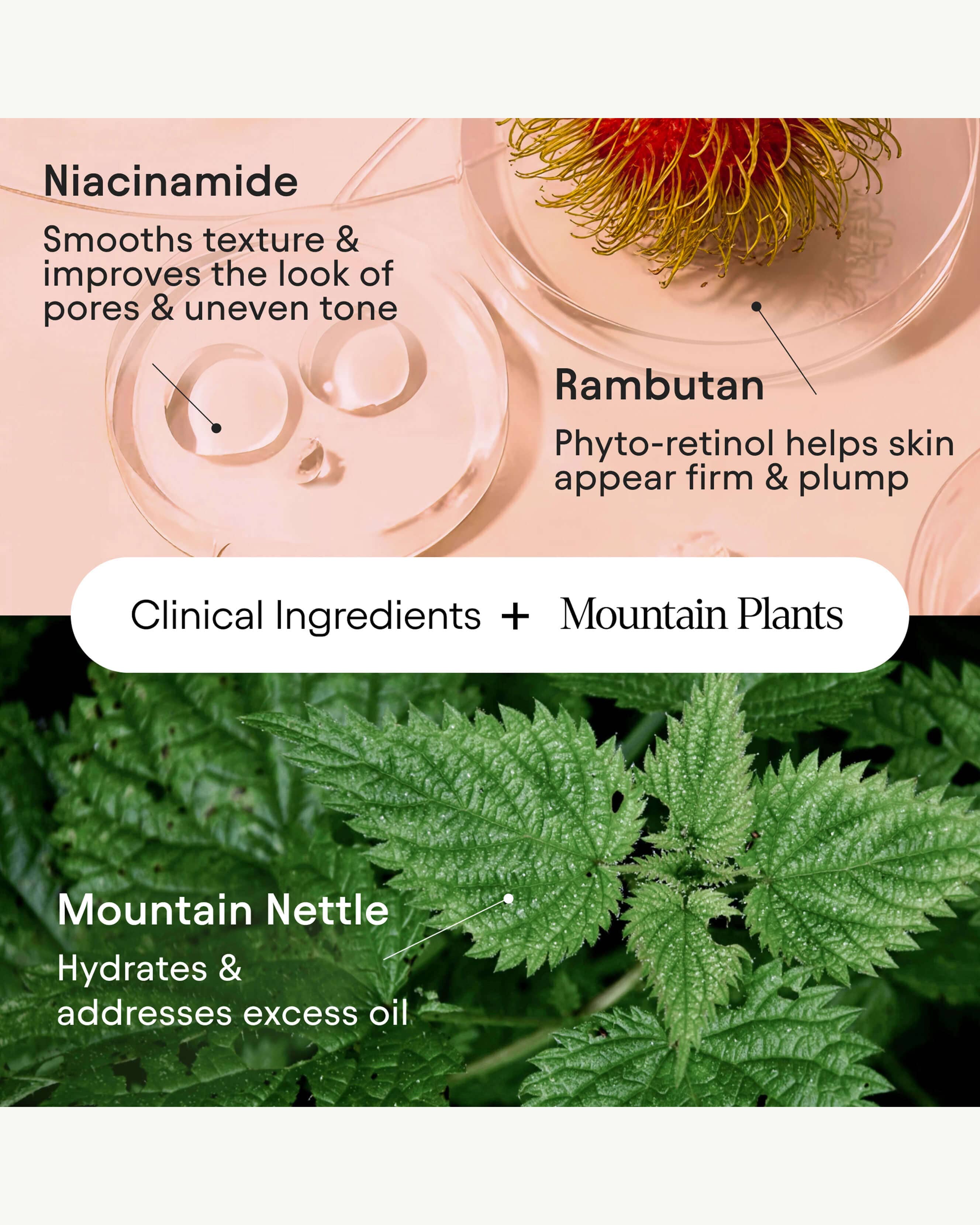Hydrating Firming Serum with Niacinamide & Nettle - Image 7