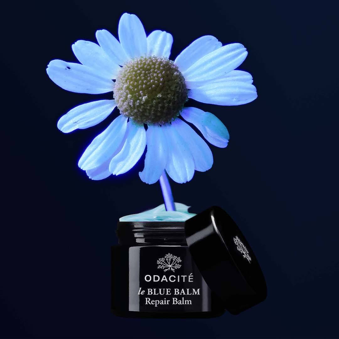 le Blue Balm - Image 10