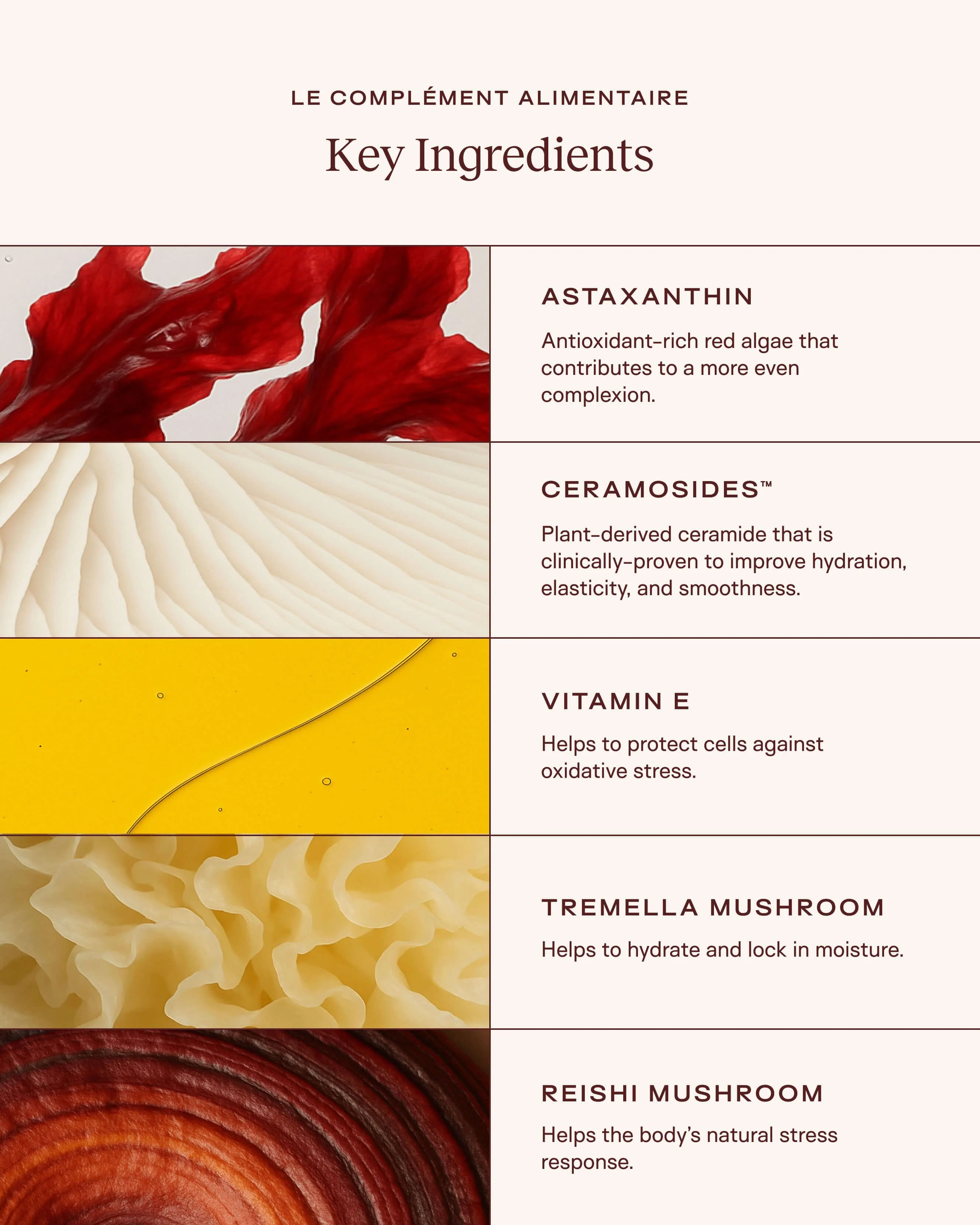 Le Complément Alimentaire – Ceramide-Rich Skin Supplement - Image 8
