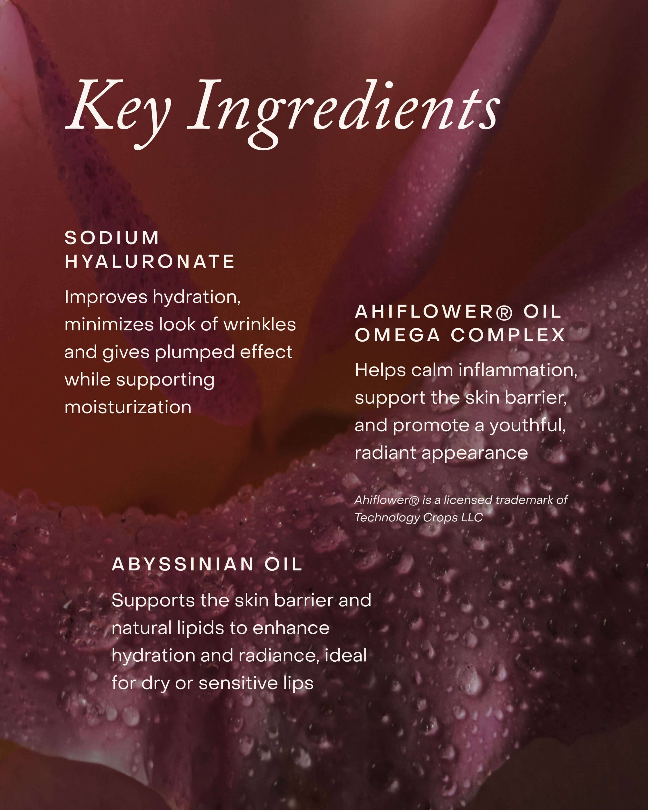 Lipid Lip Hydrating Glossy Oil - Image 6