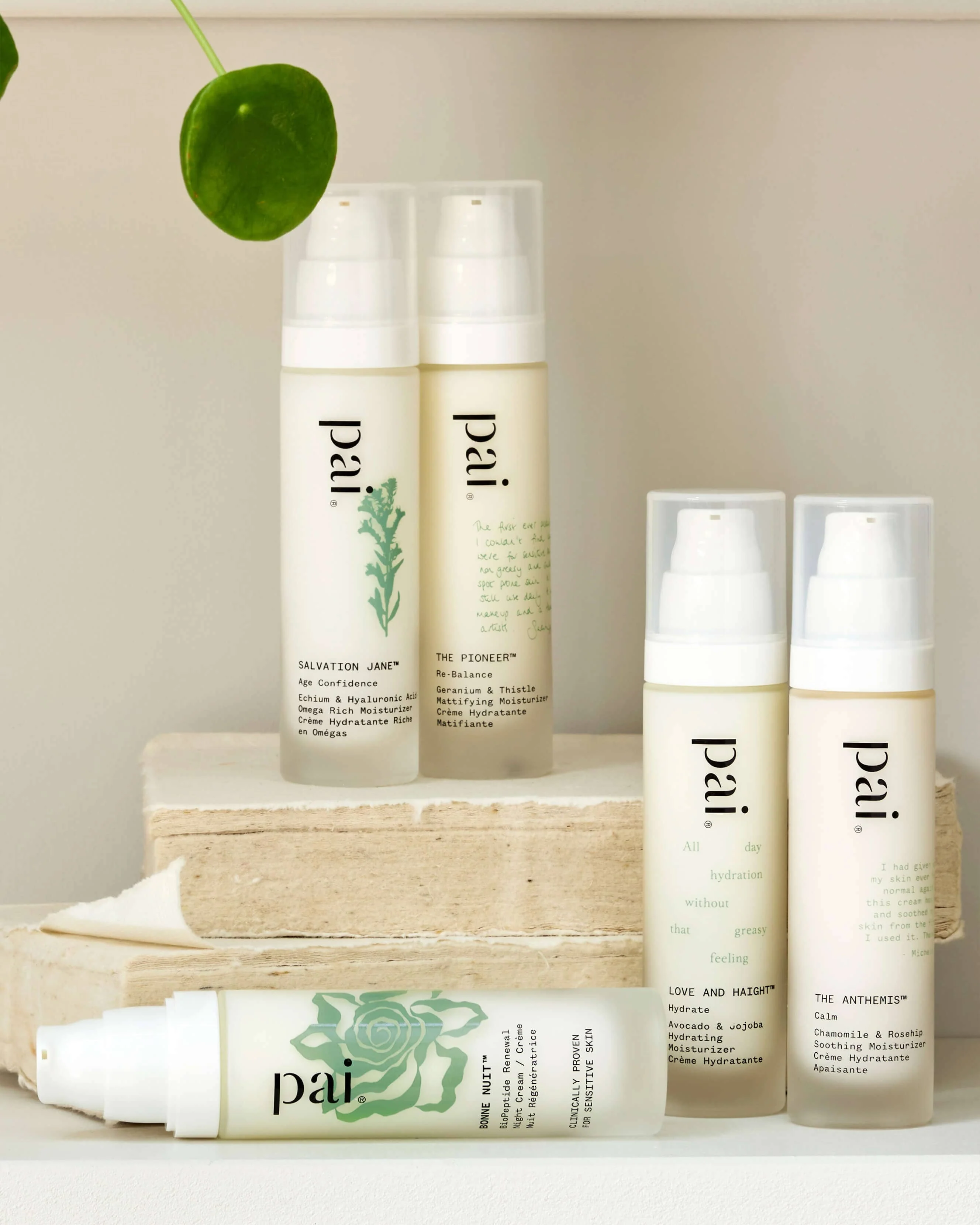 Love & Haight Hydrating Moisturizer - Image 7