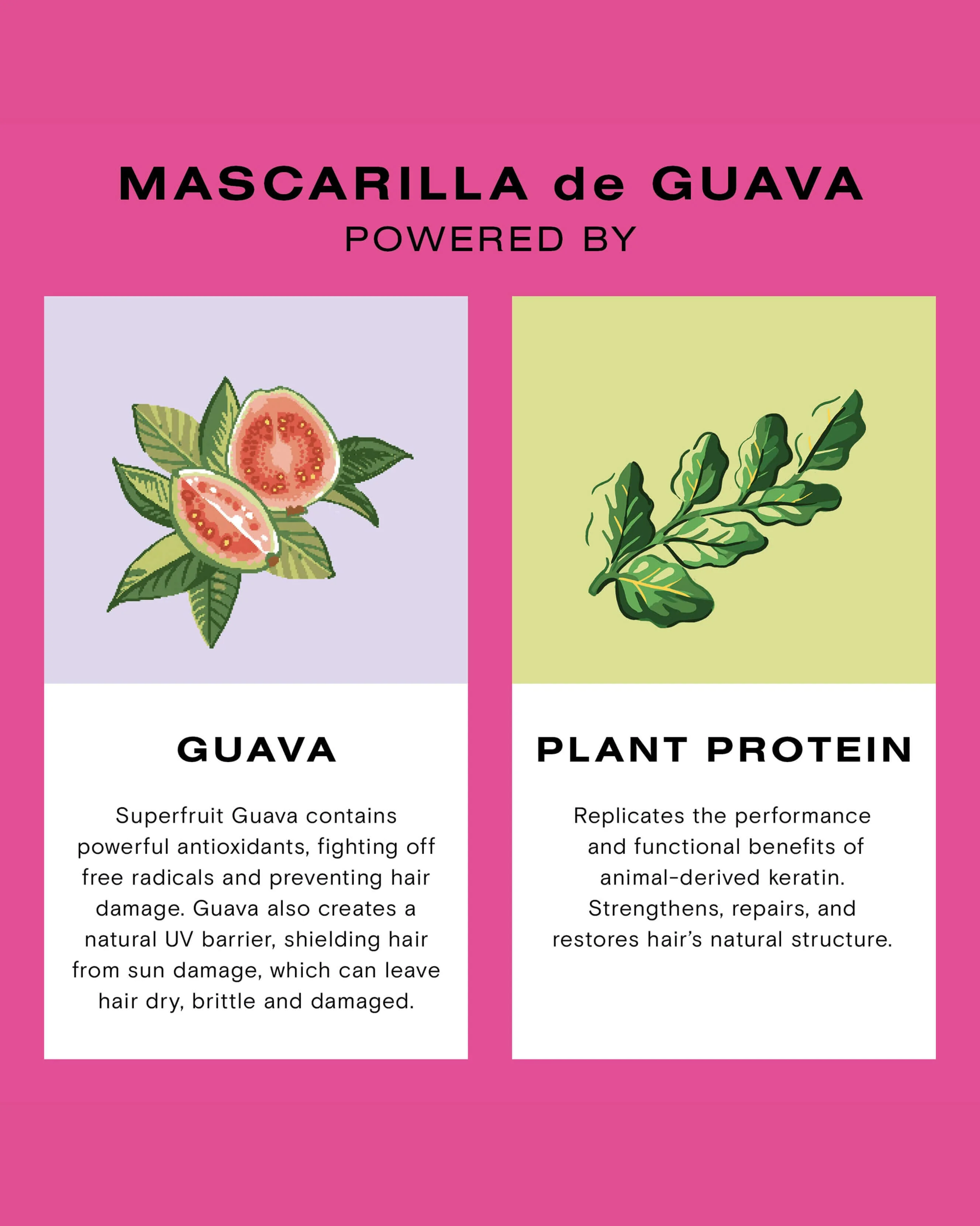 Mascarilla de Guava - Image 5