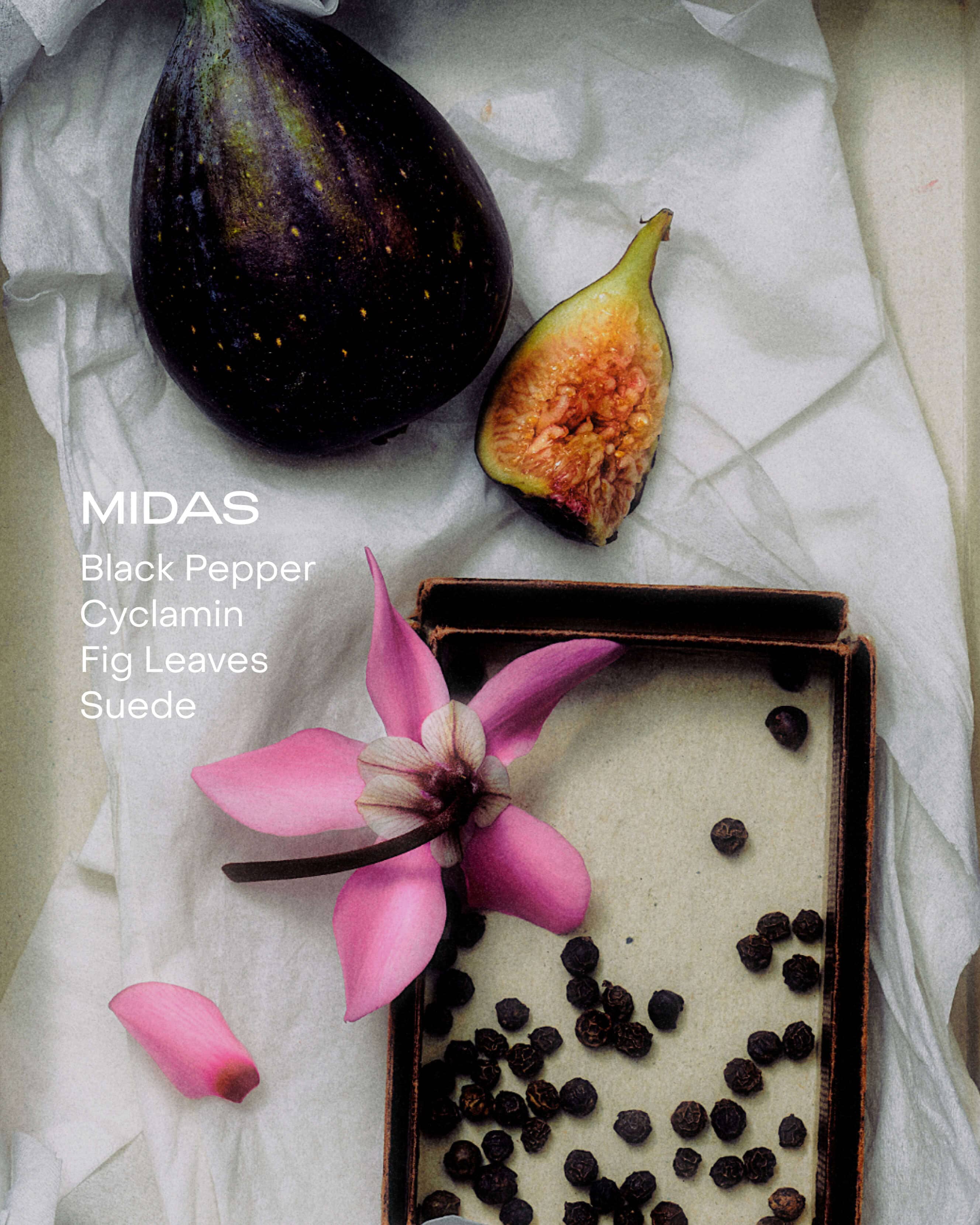 MIDAS - The Hand Serum - Image 5