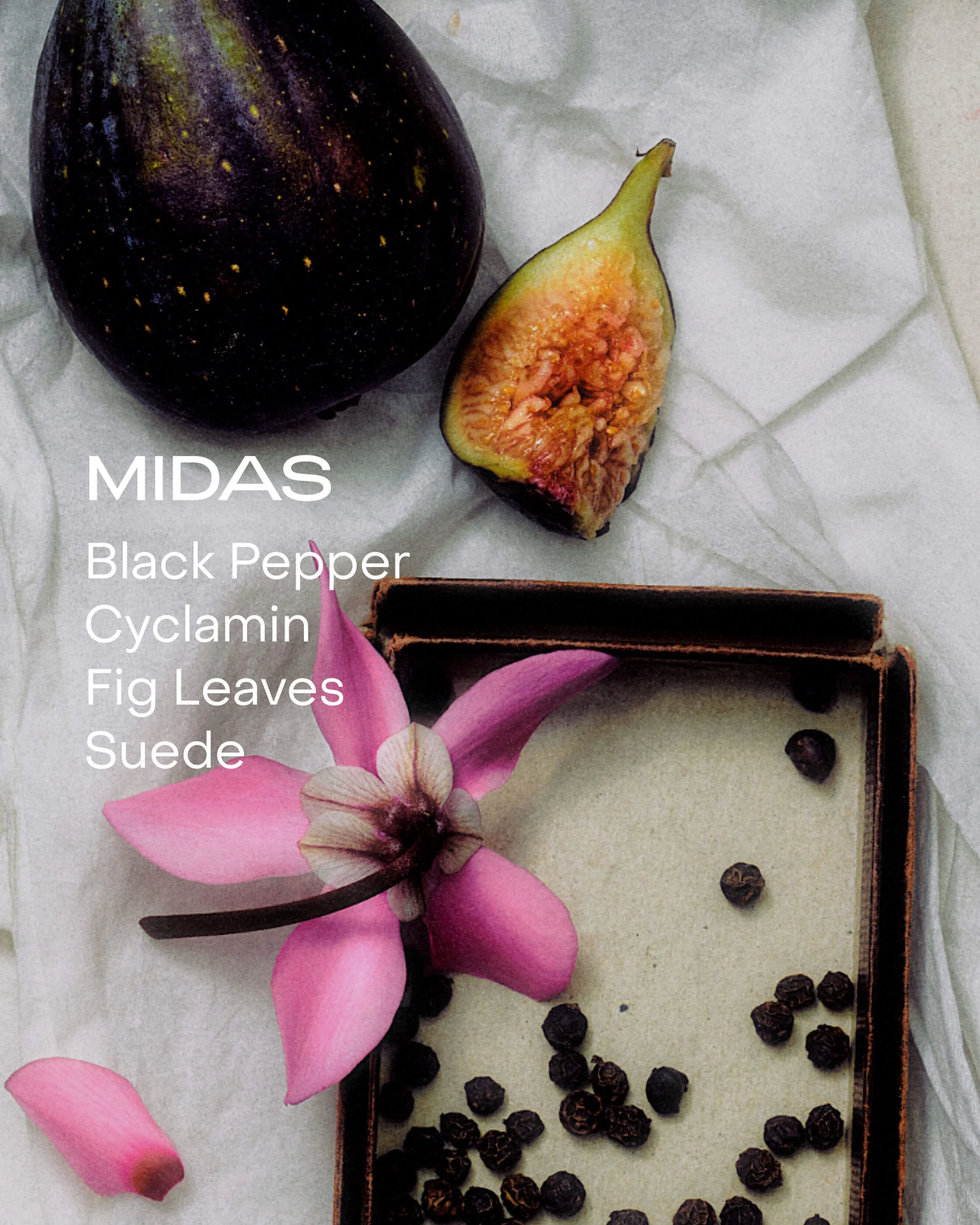 MIDAS: The Solid perfum - Image 3