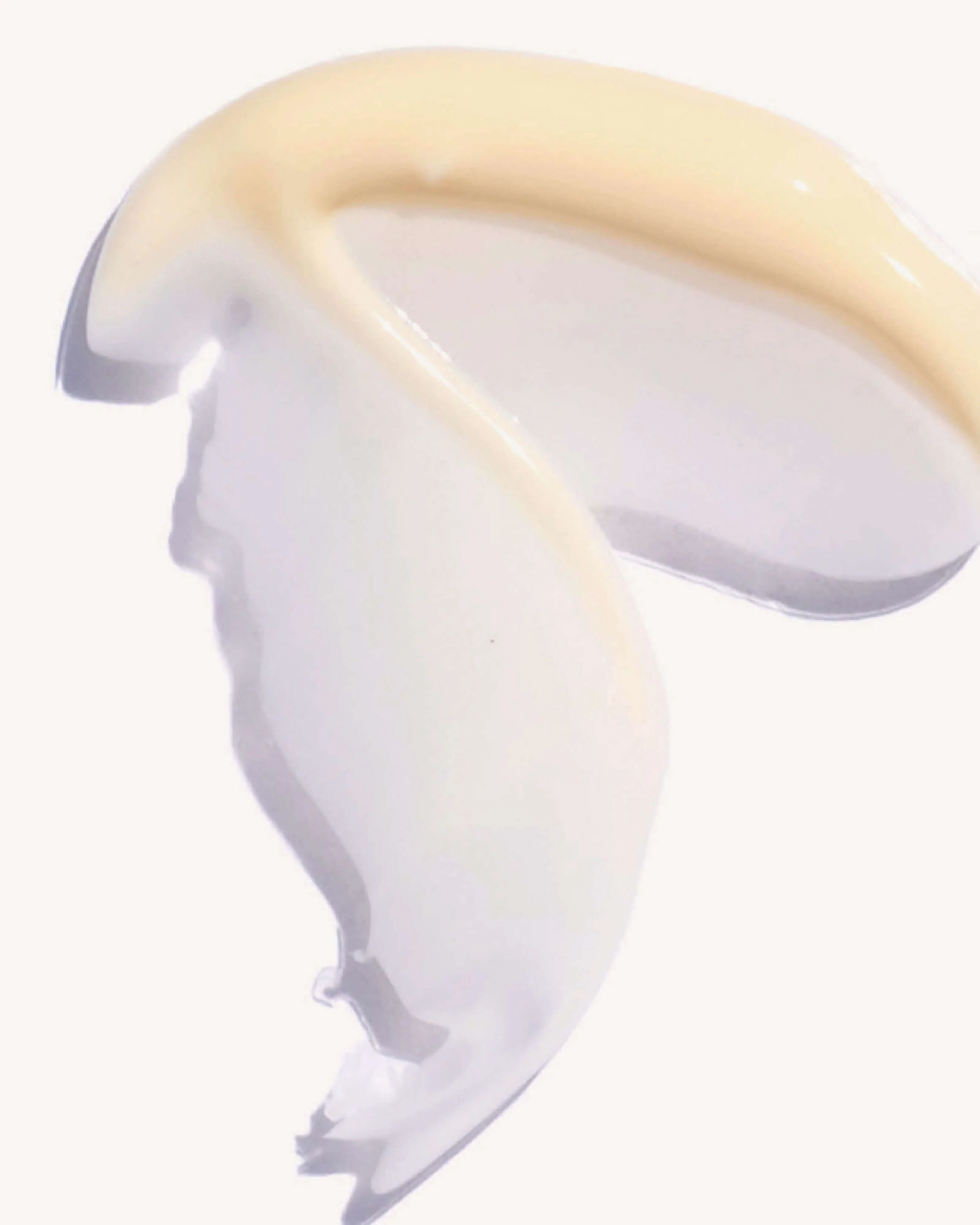 Moringa All-Beauty Creme - Image 2