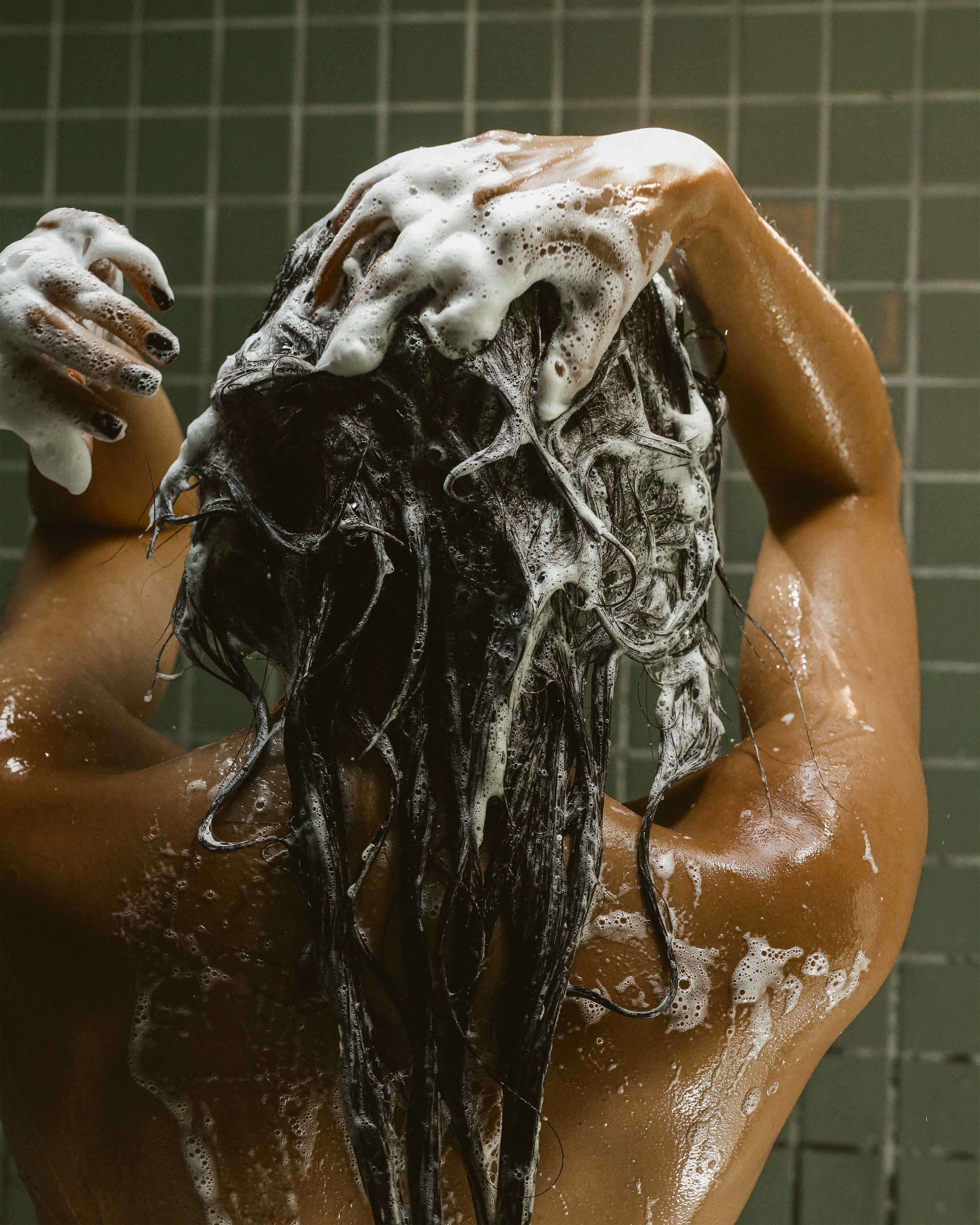 Shampoo - Image 3