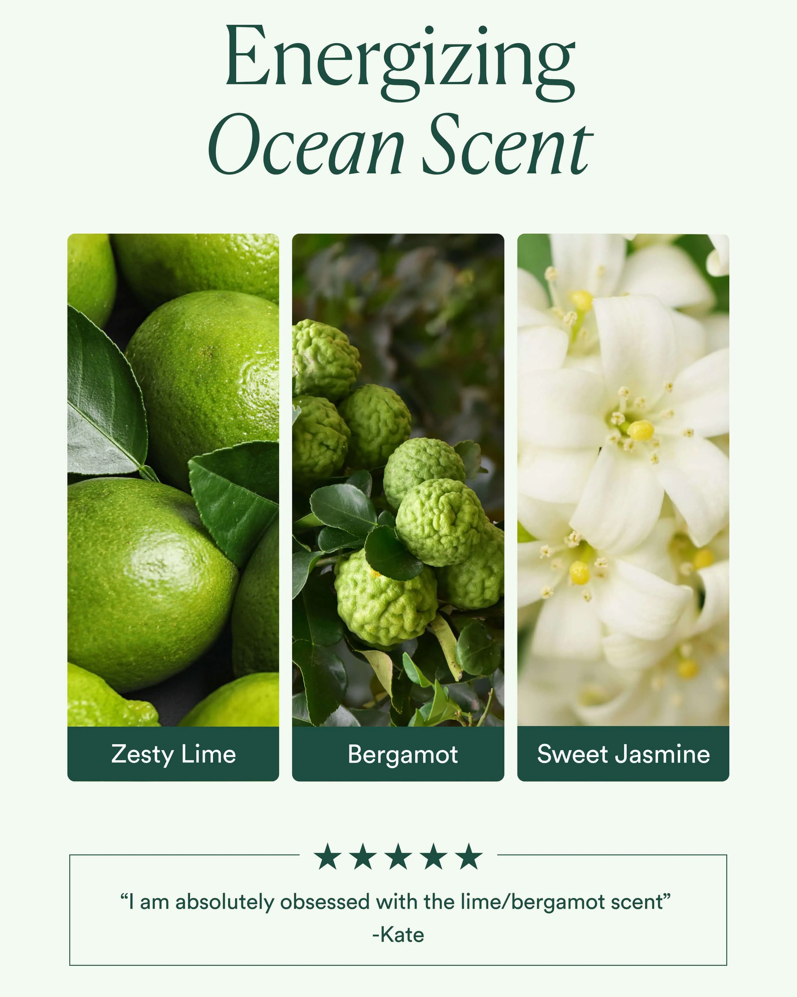 Ocean Cleanser - Image 7
