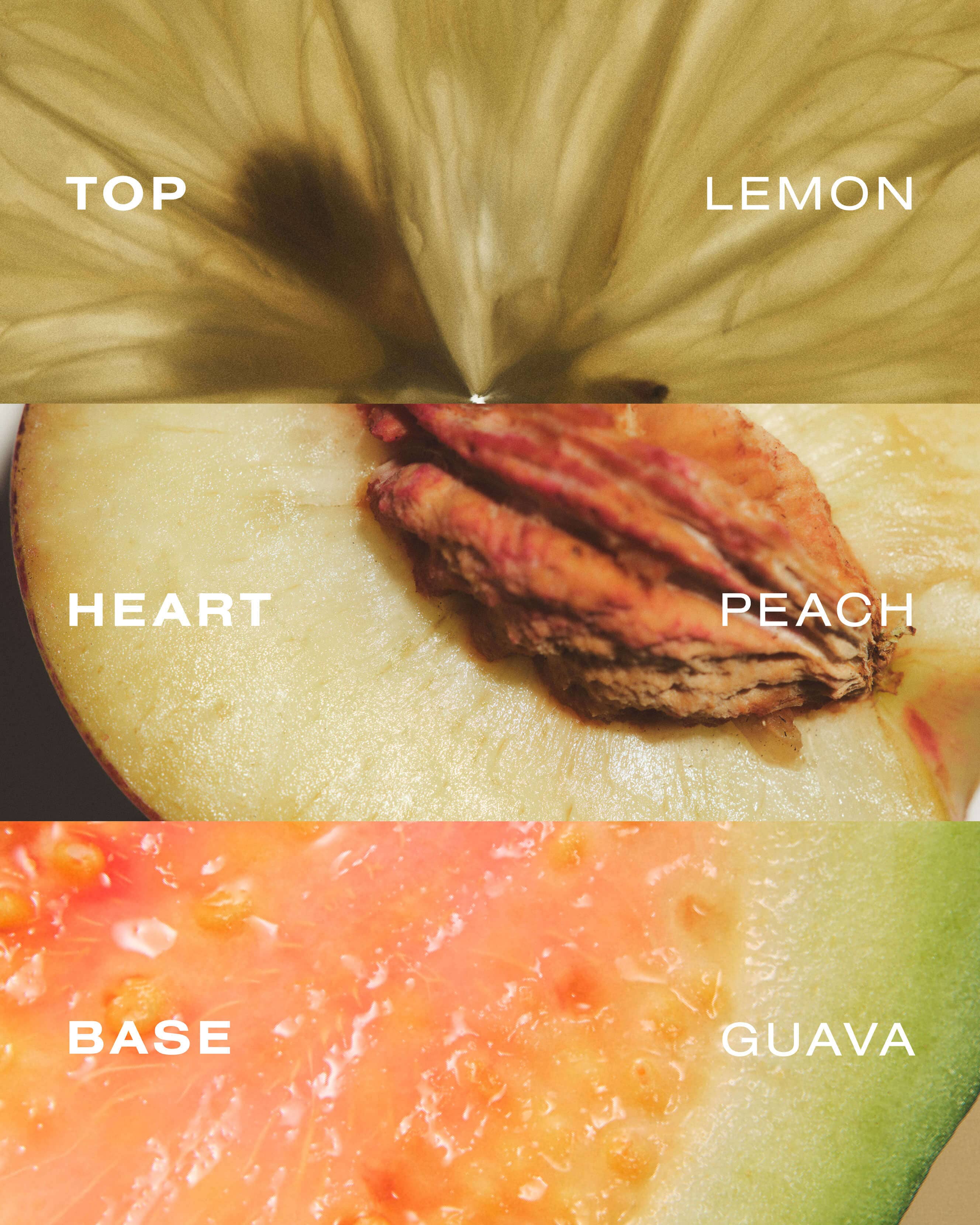 Perfume Mist de Guava - Image 16