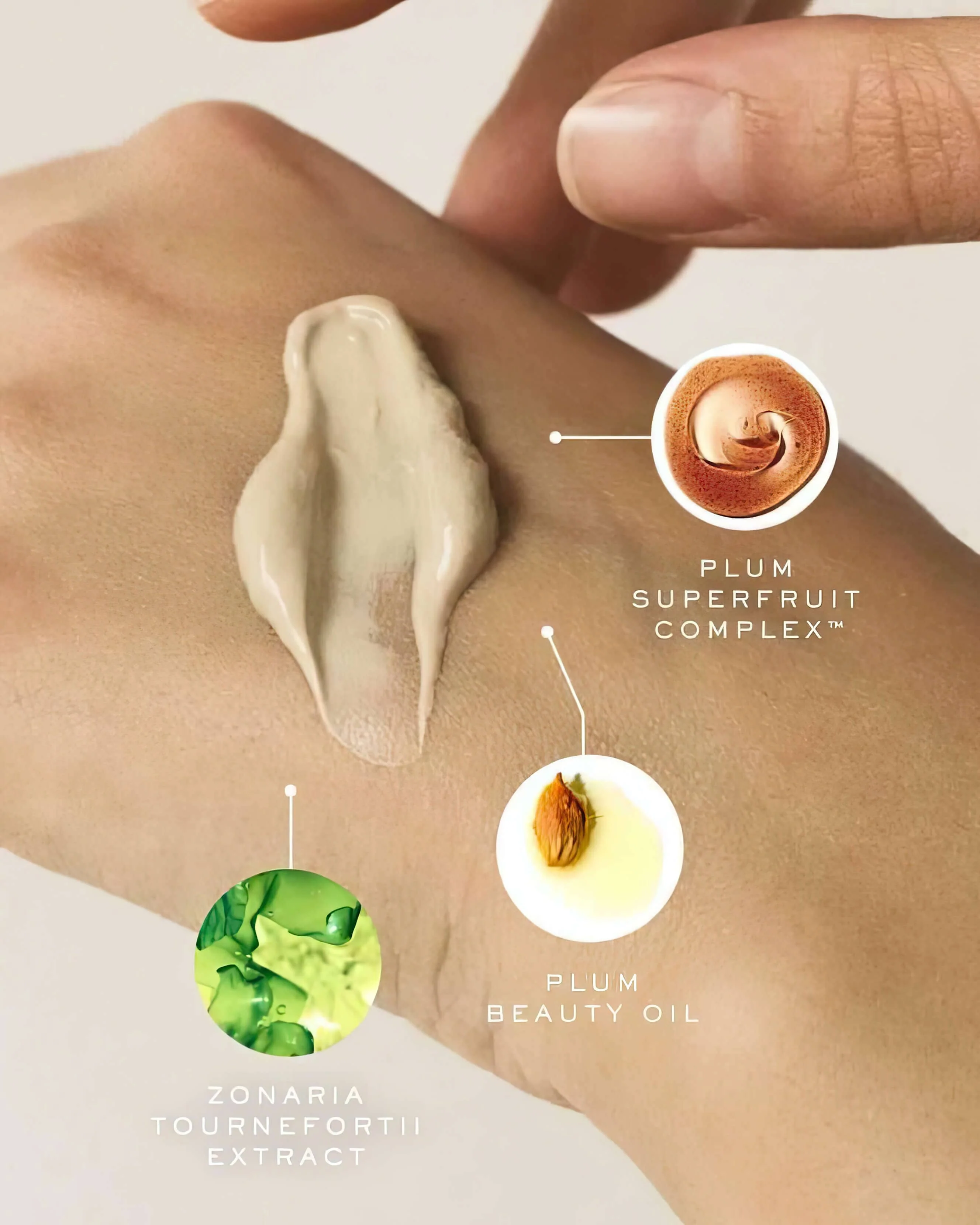 Plumscreen SPF 31 - Image 17
