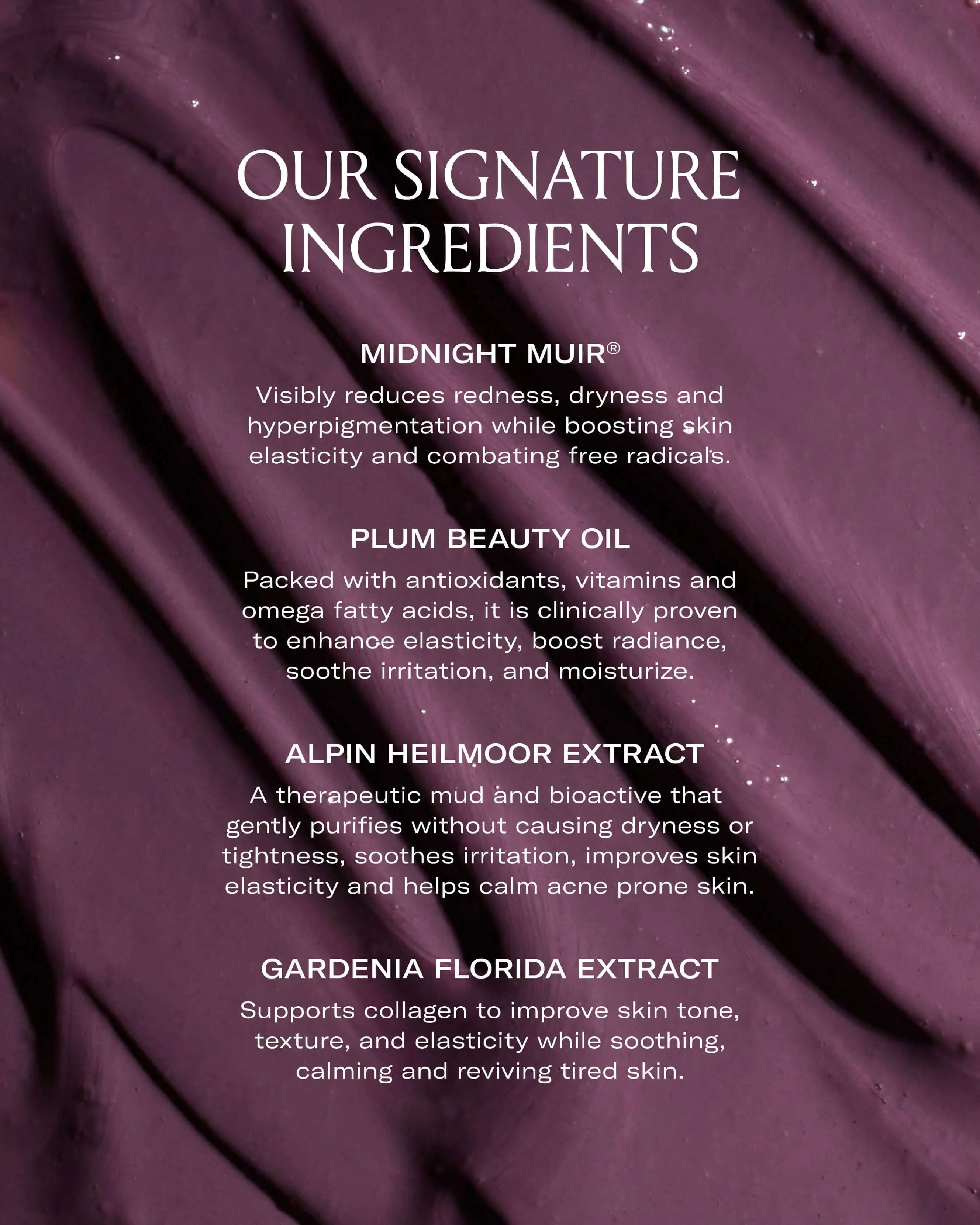 Plumtox Clarifying Enzyme Mask - Image 2