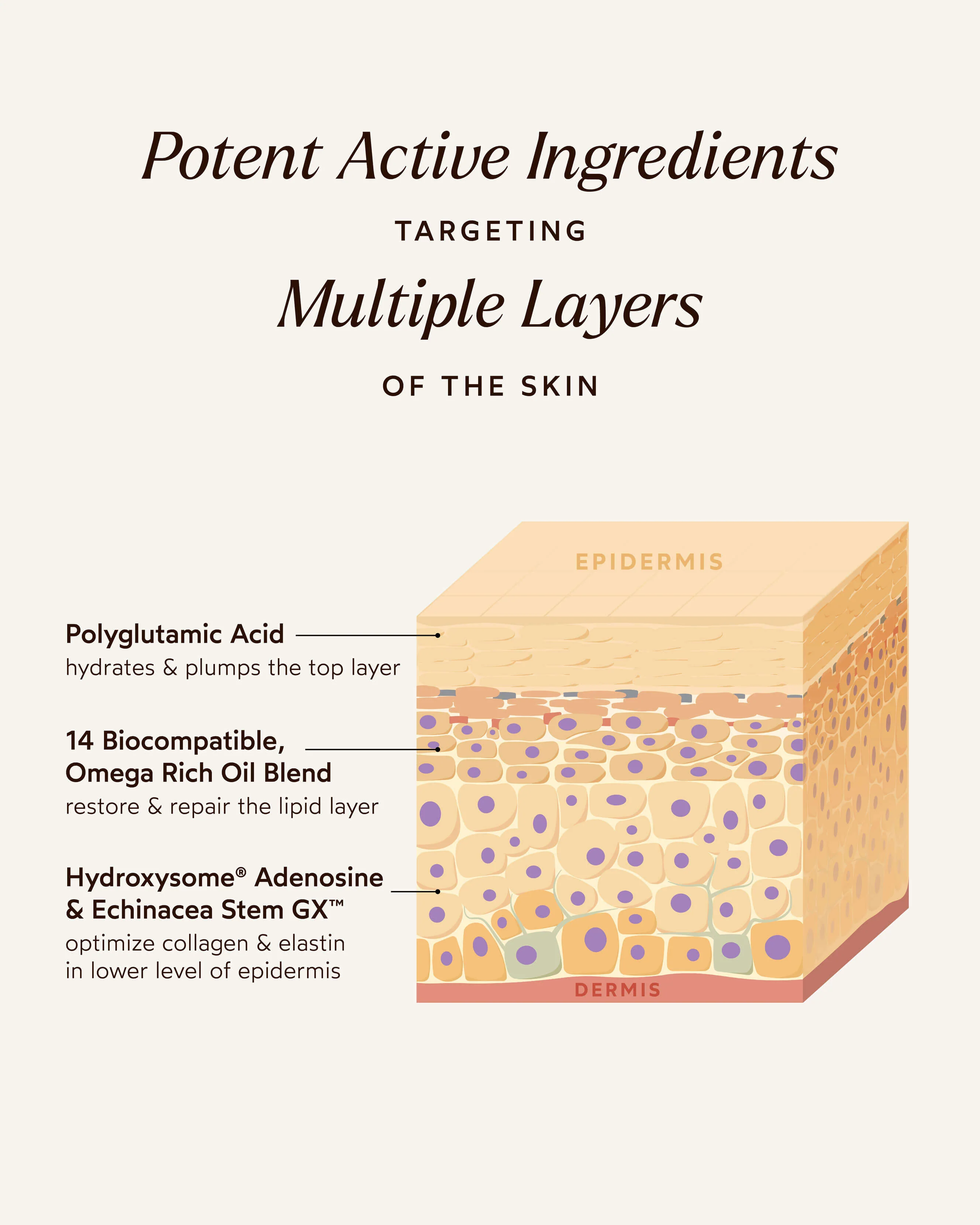 Pure Radiance Supreme Eye Cream - Image 7