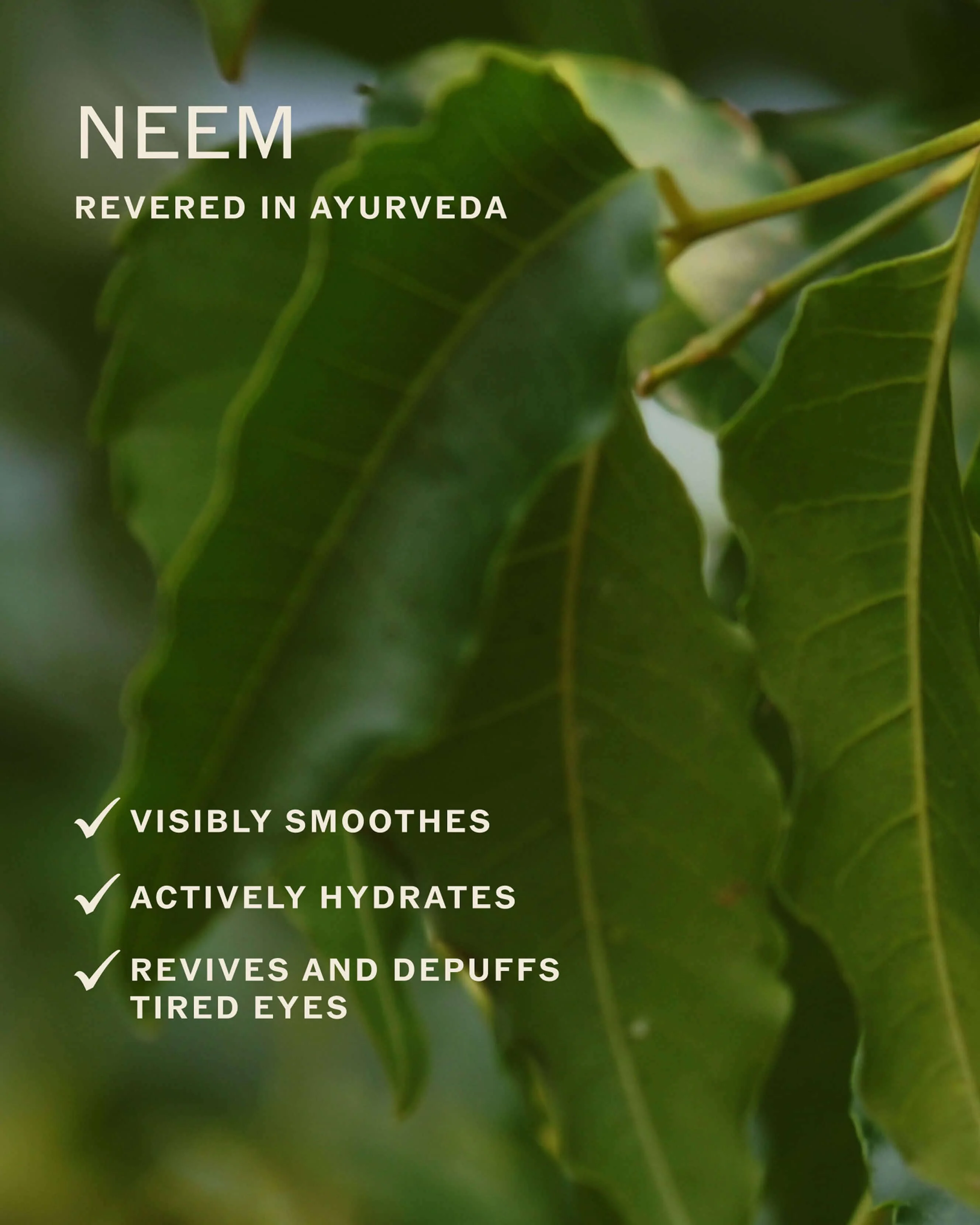 Radiance Eye Cream with Niacinamide, Vitamin C + Adaptogens - Image 6