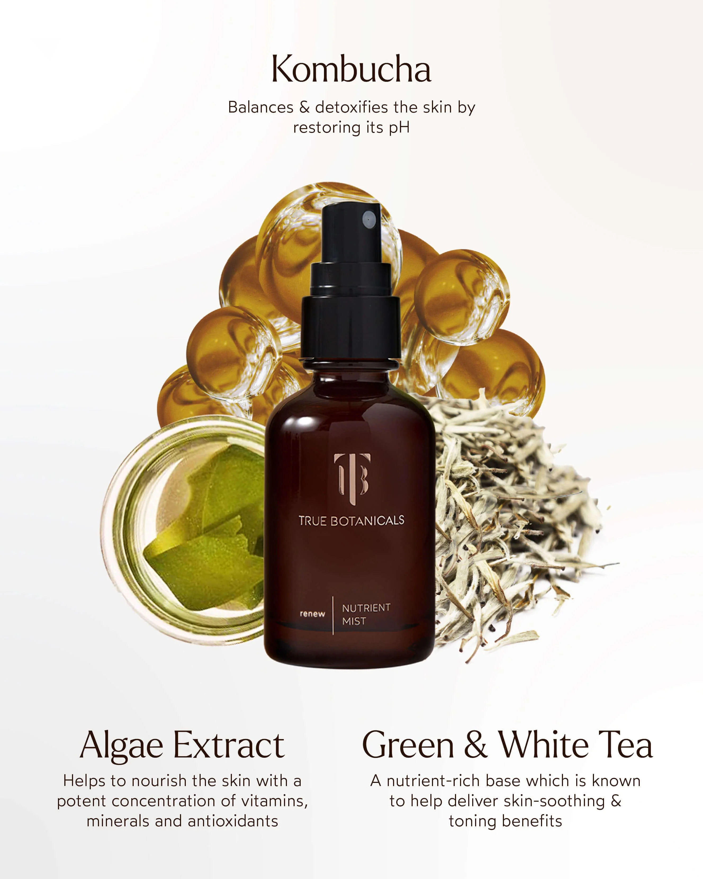 Renew Nutrient Mist - Image 5