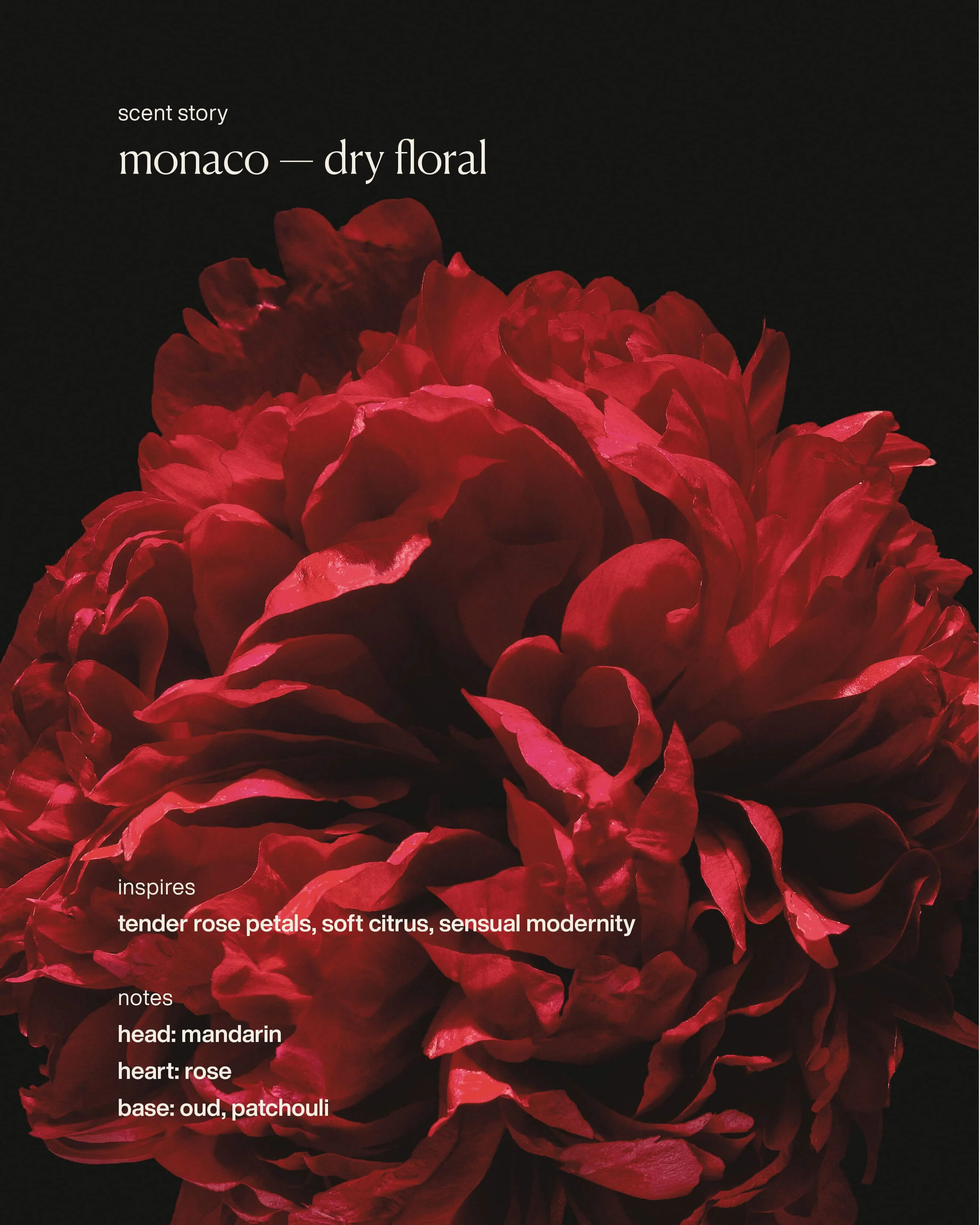 Restorative Body Lotion - monaco - Image 5