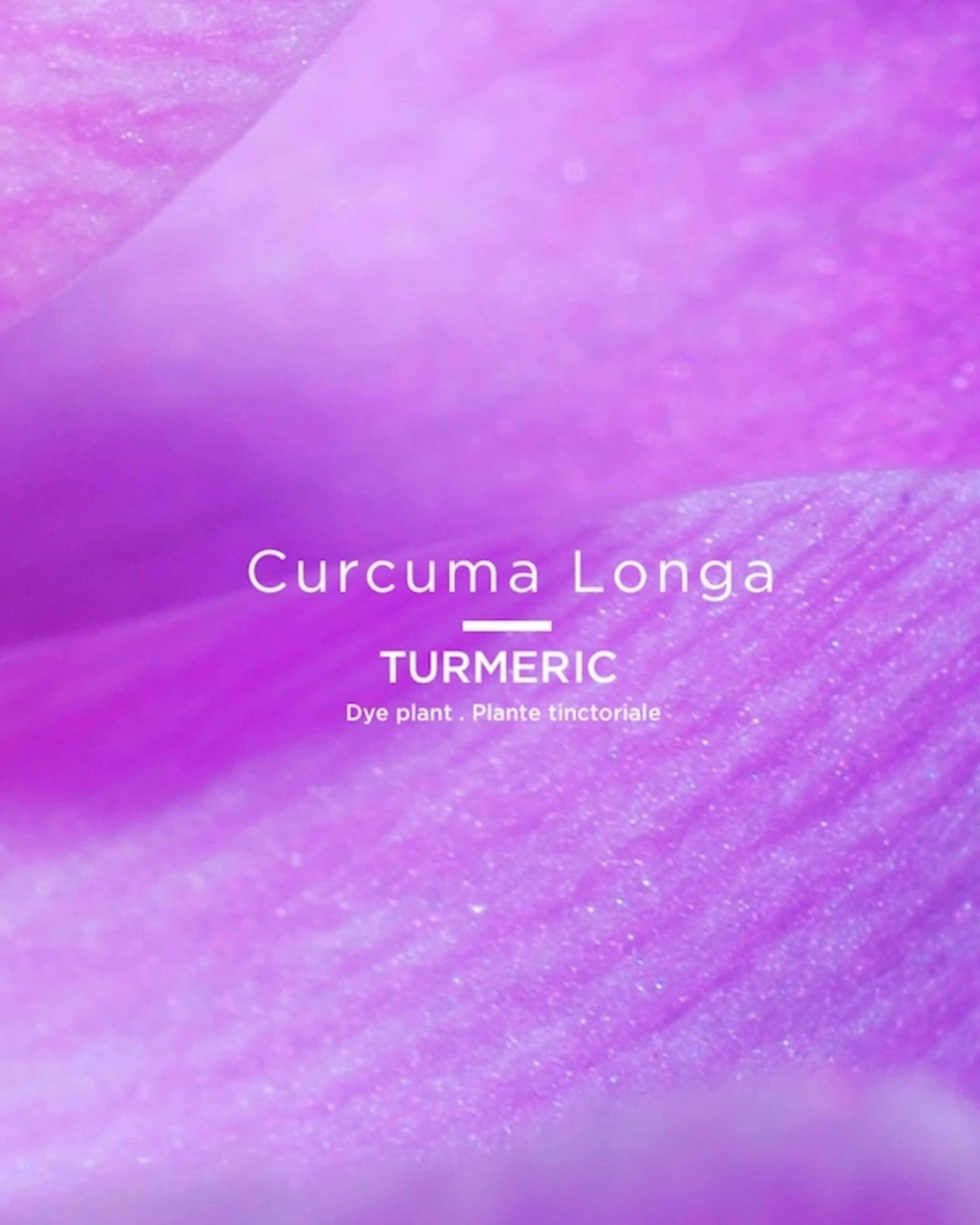 Rouge Tinctorial Lipstick - Image 37