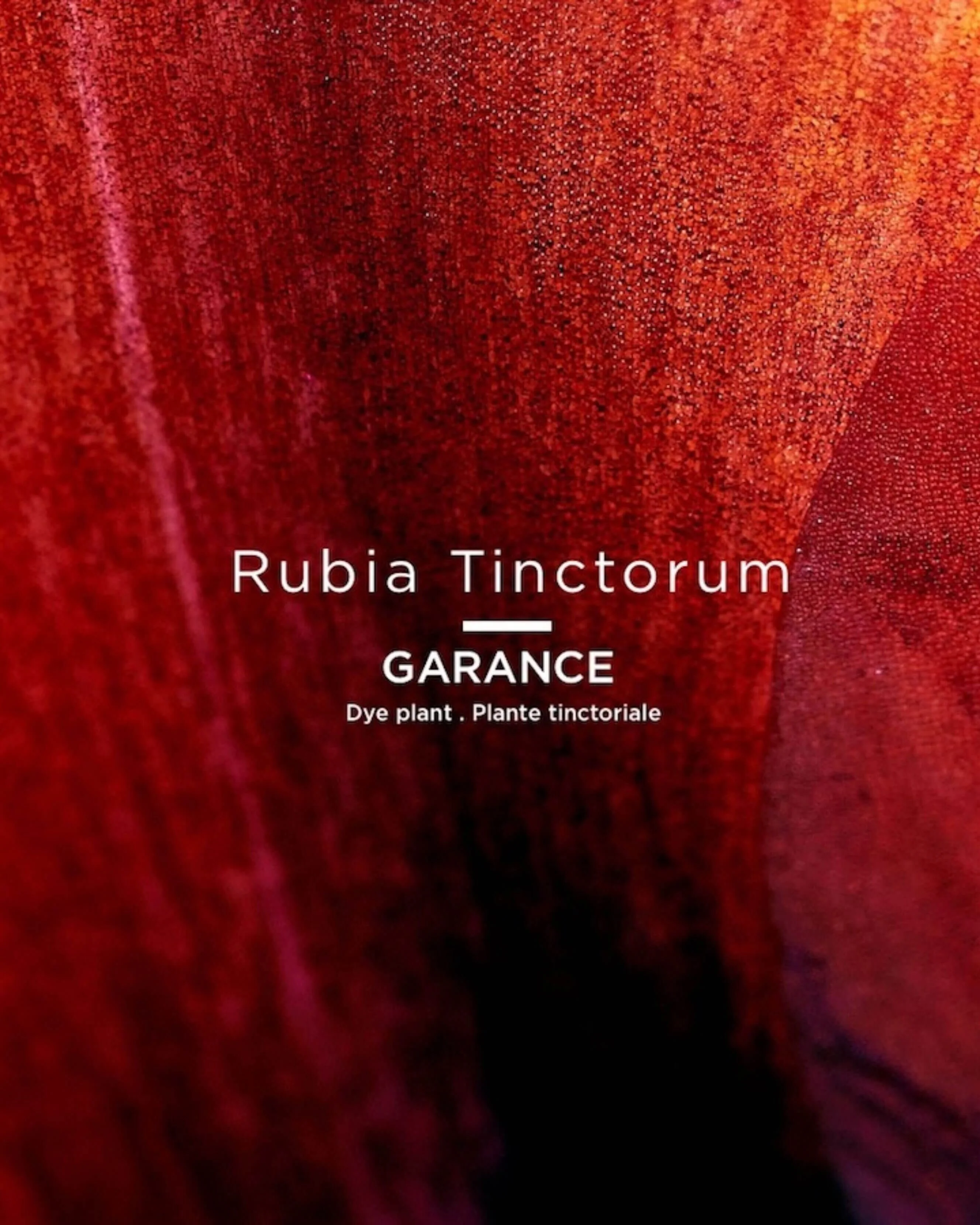 Rouge Tinctorial Lipstick - Image 9