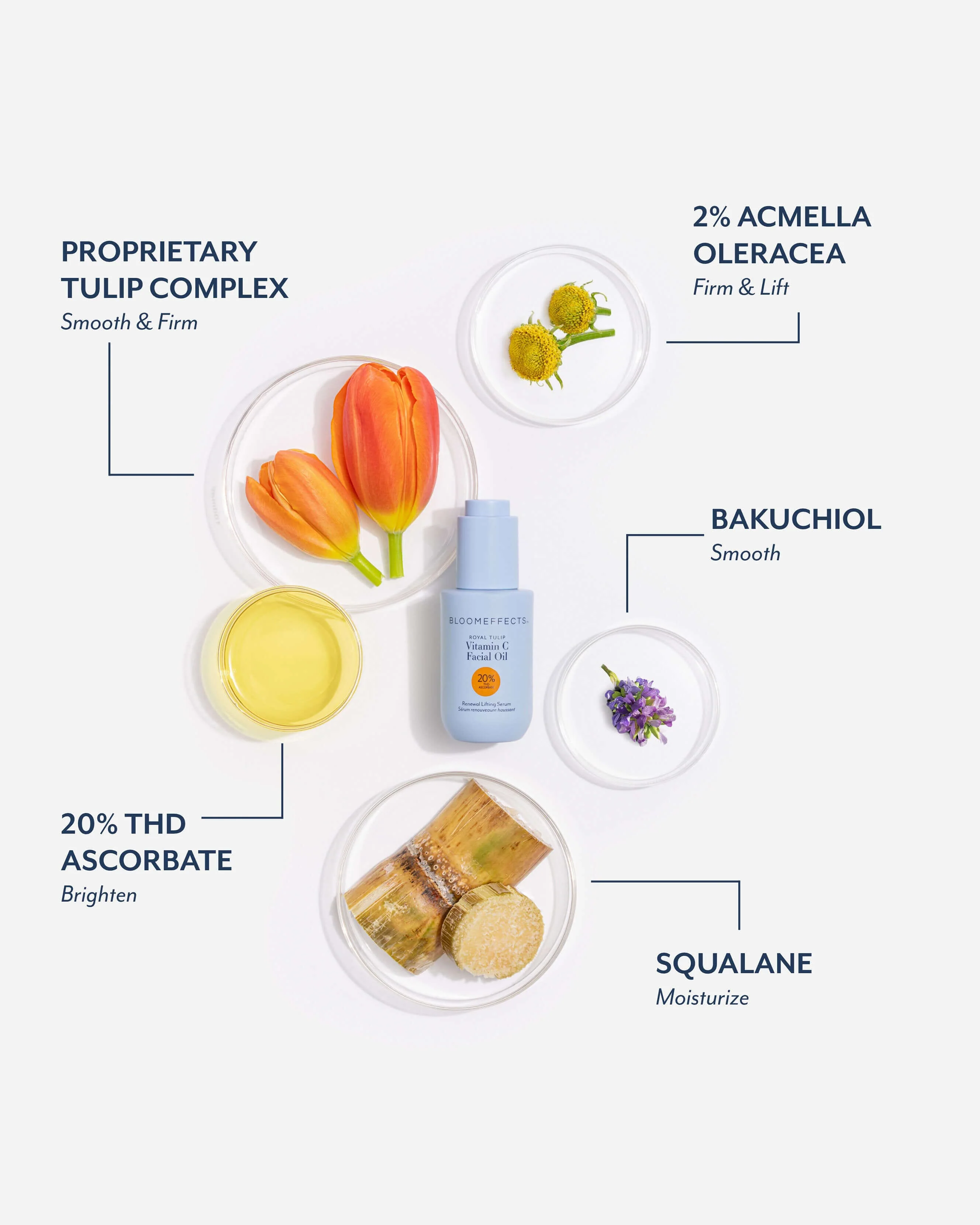 Royal Tulip Vitamin C Facial Oil - Image 6