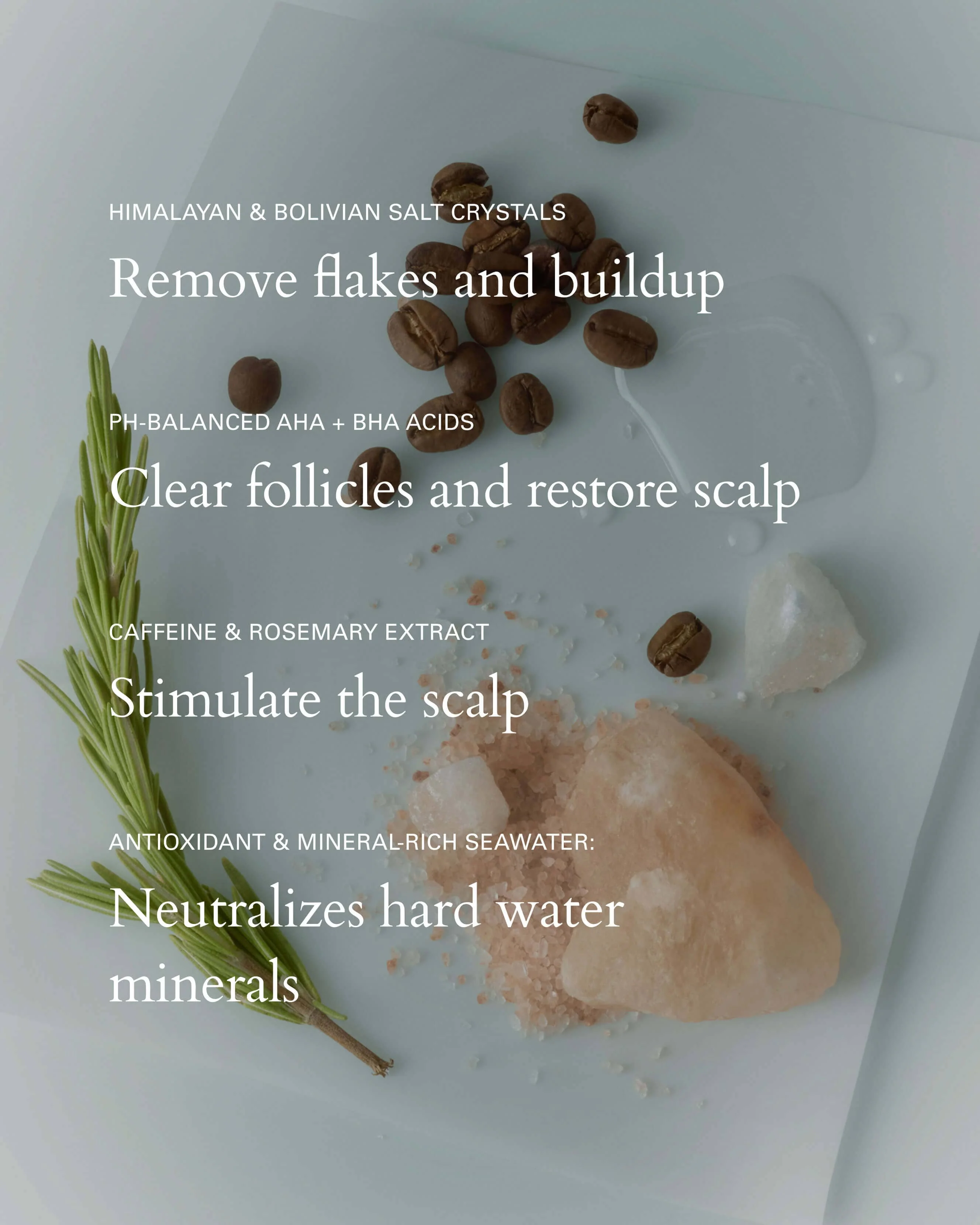 Salt Scalp Scrub - Image 11