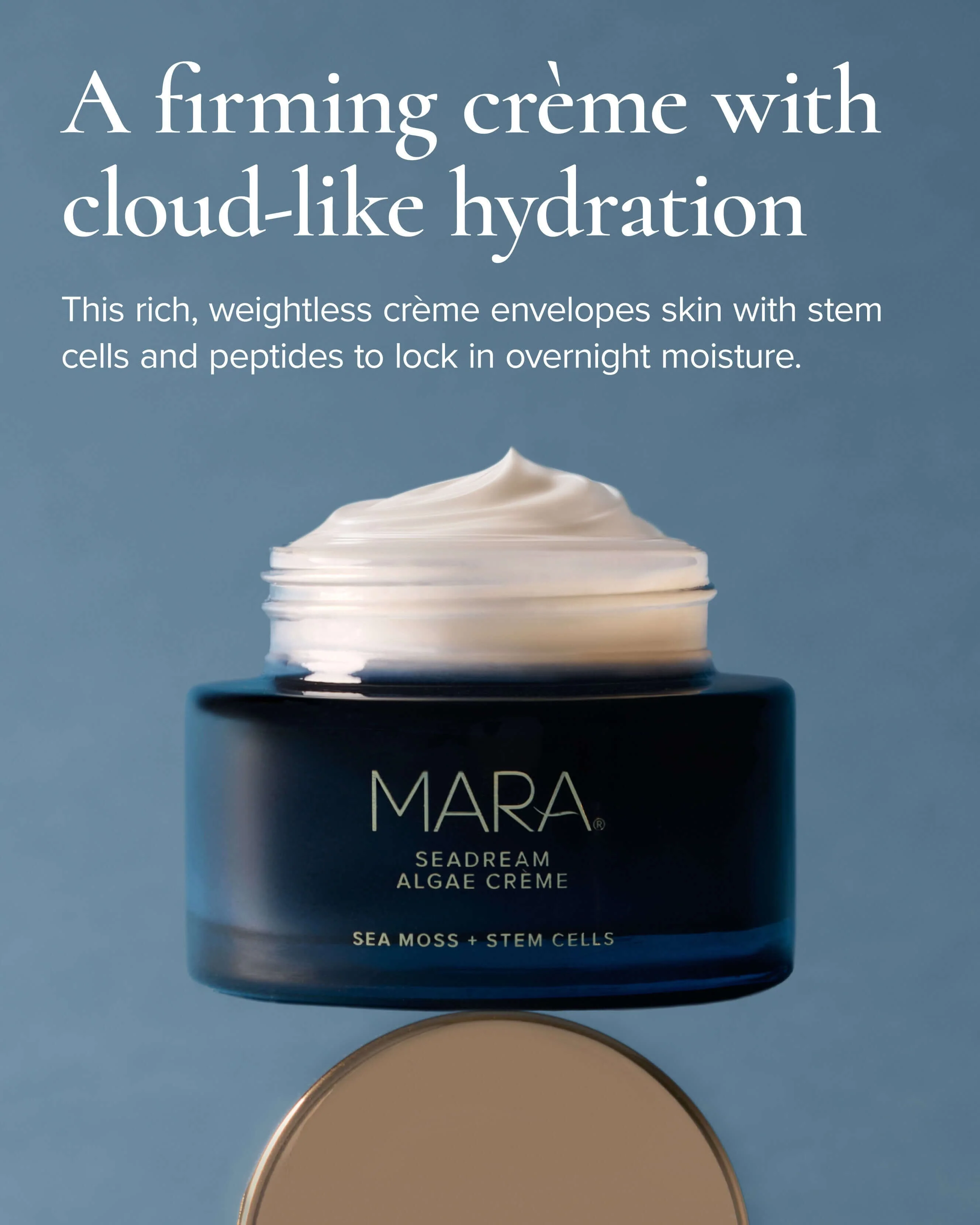 SeaDream Algae Creme Moisturizer for Firming & Tightening with Sea Moss + Peptides - Image 8