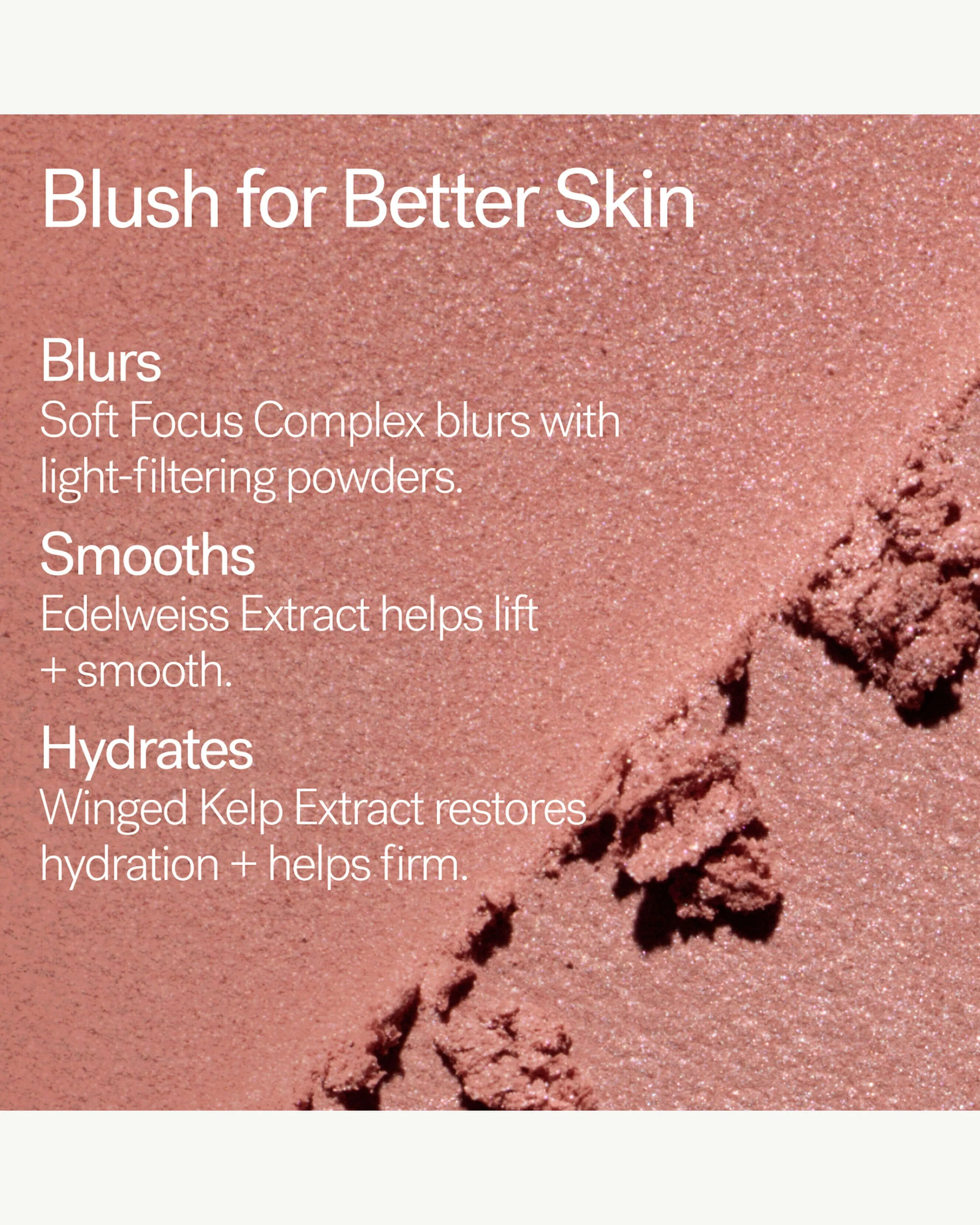 Soft Focus Blurring Blush - Image 6