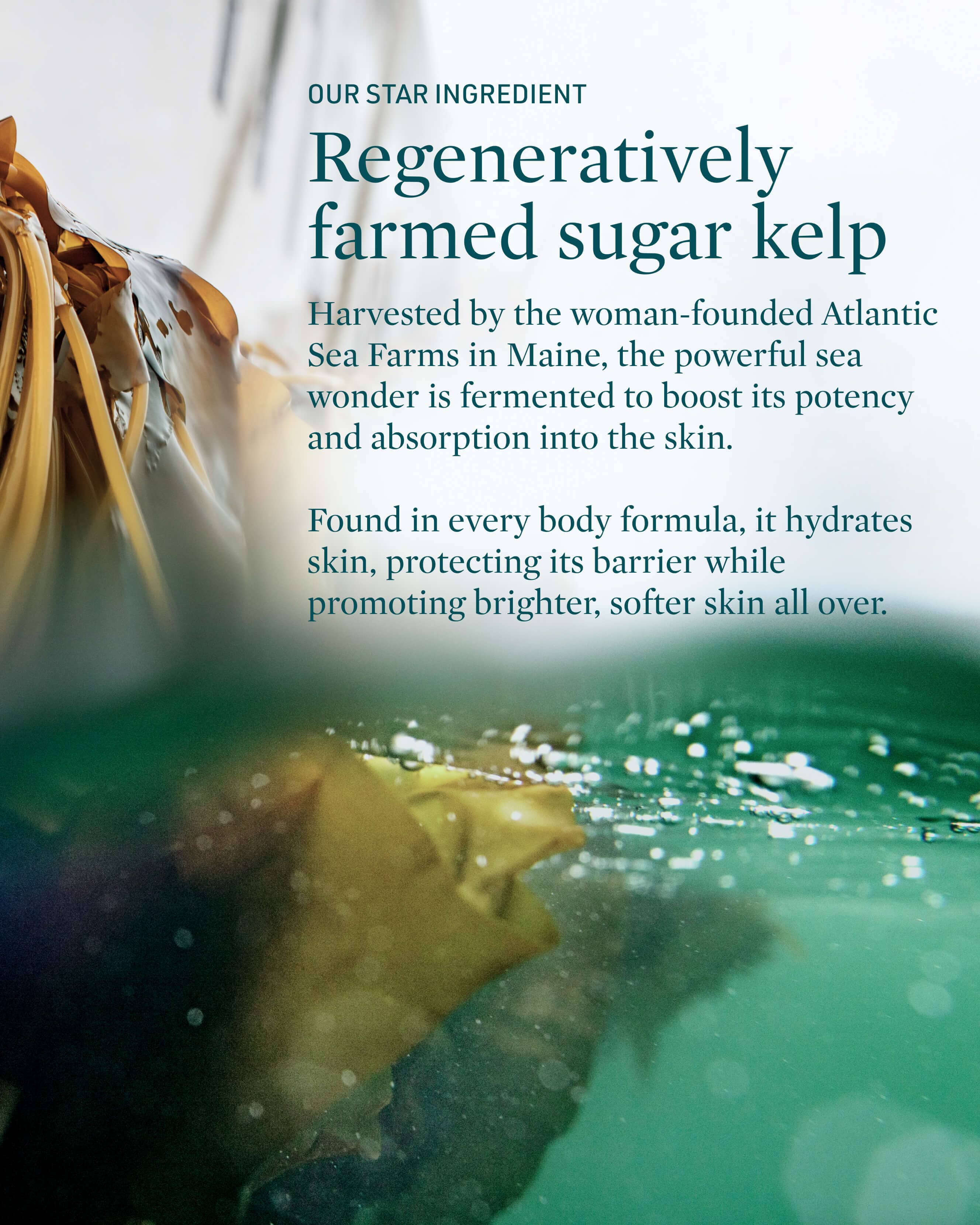 Submerge Green Algae Body Cream - Image 5