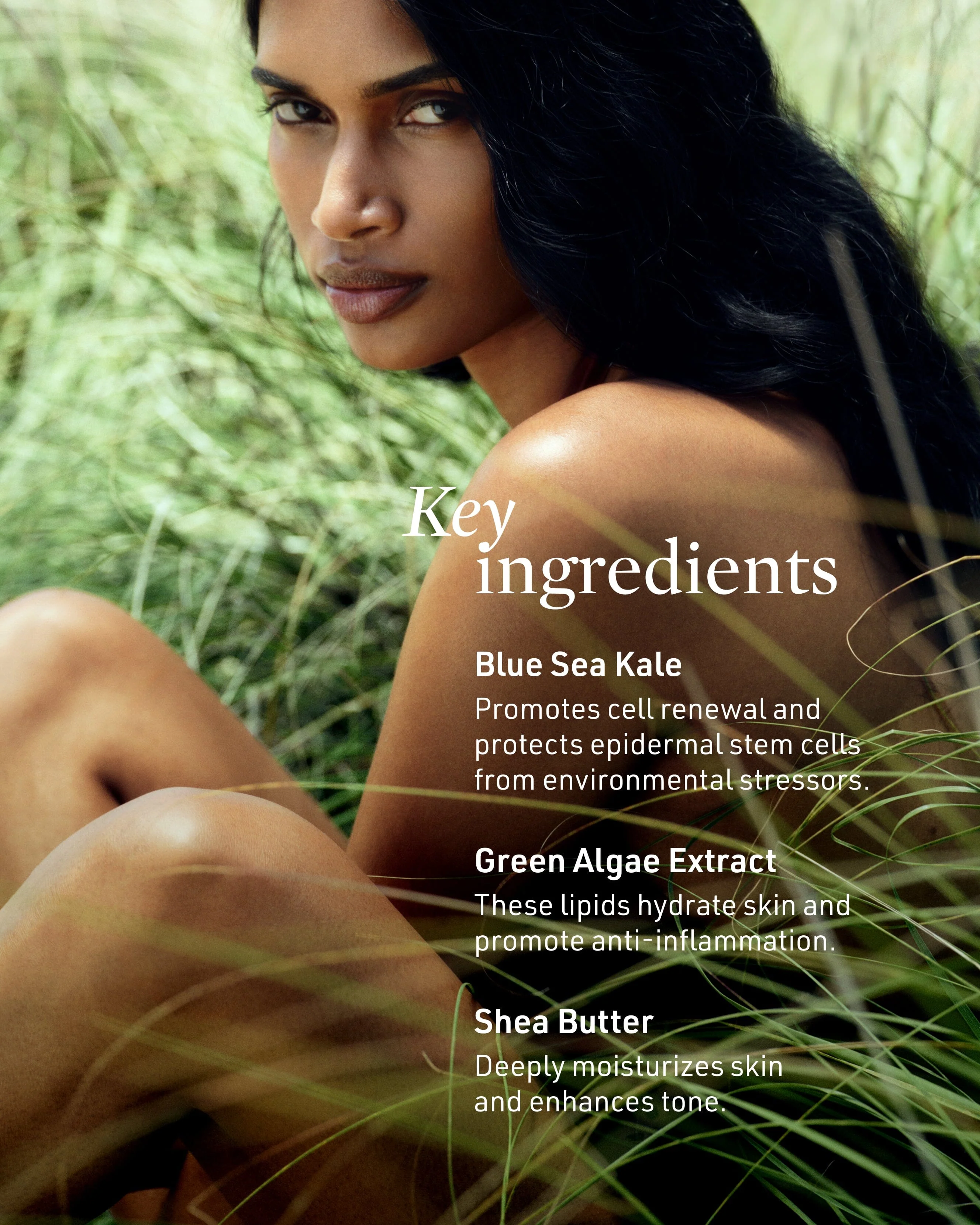 Submerge Green Algae Body Cream - Image 6