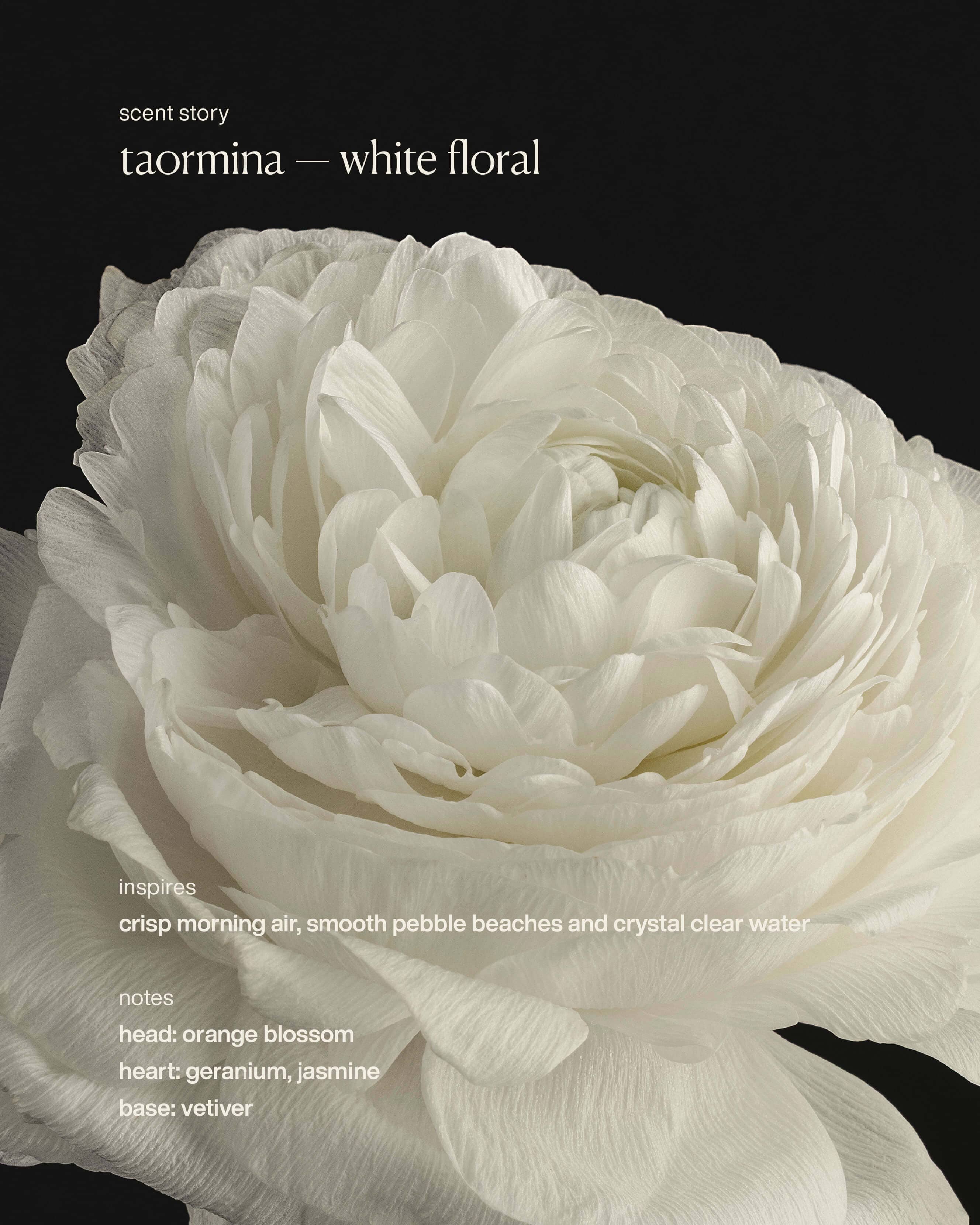 taormina - deodorant - Image 6