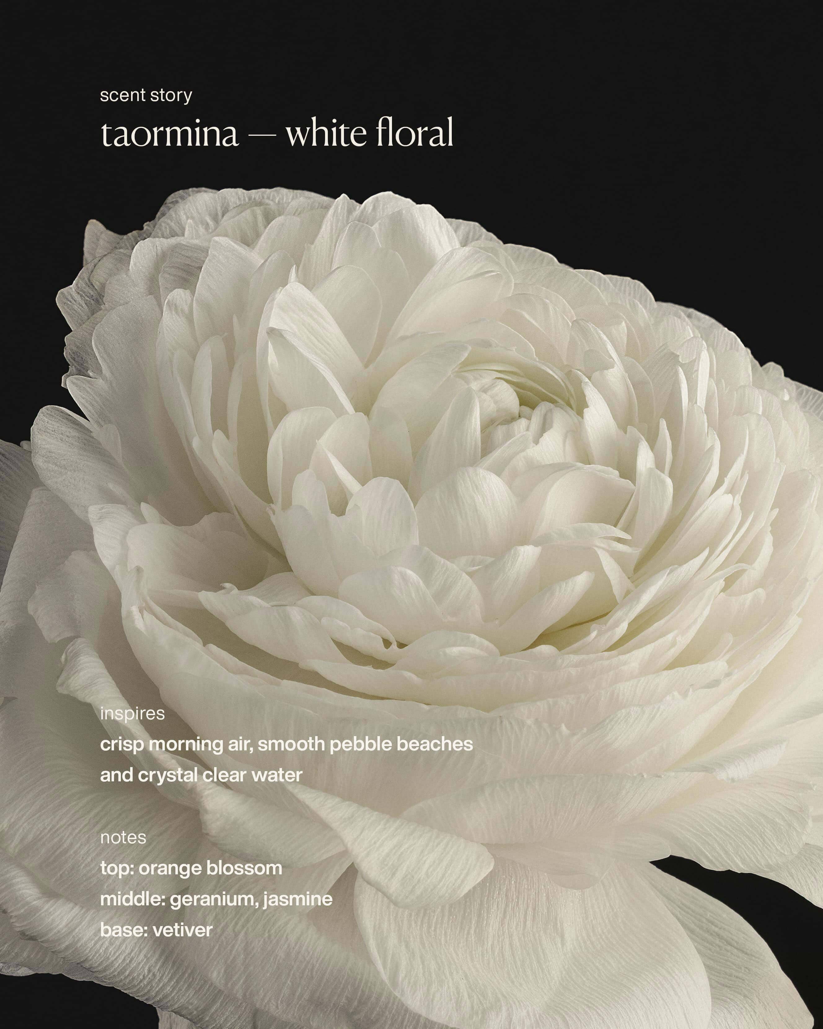 taormina - restorative hand wash - Image 3
