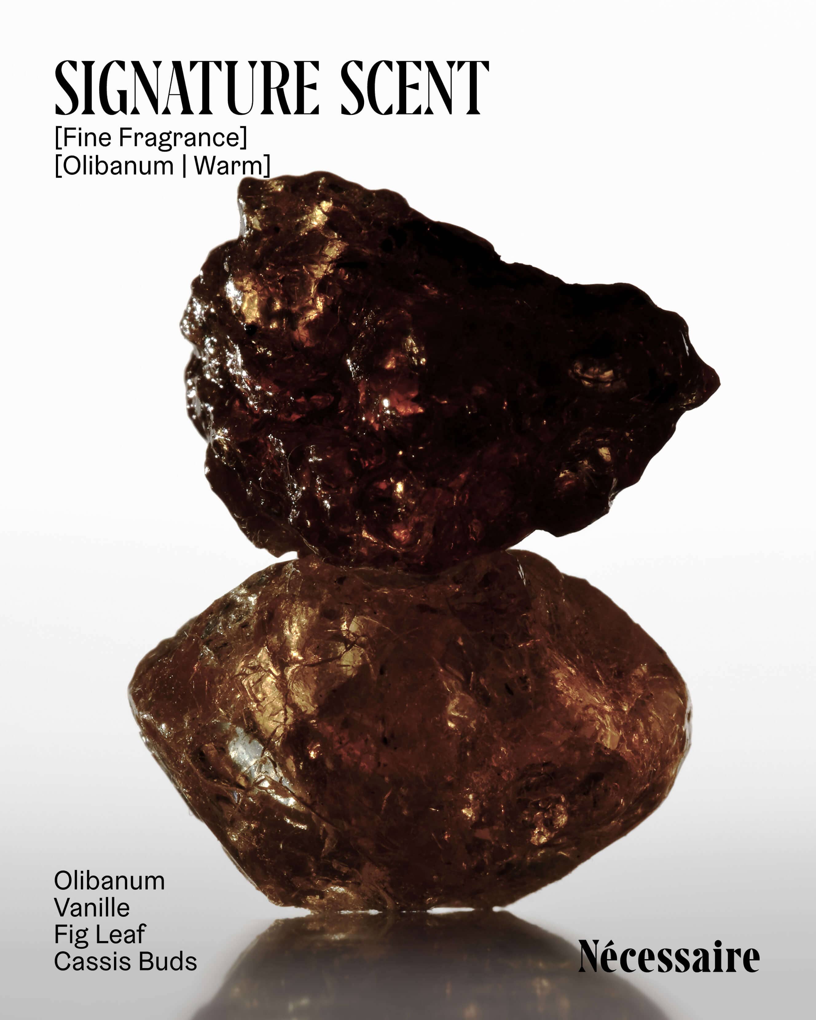 The Body Essentials Olibanum - Image 4